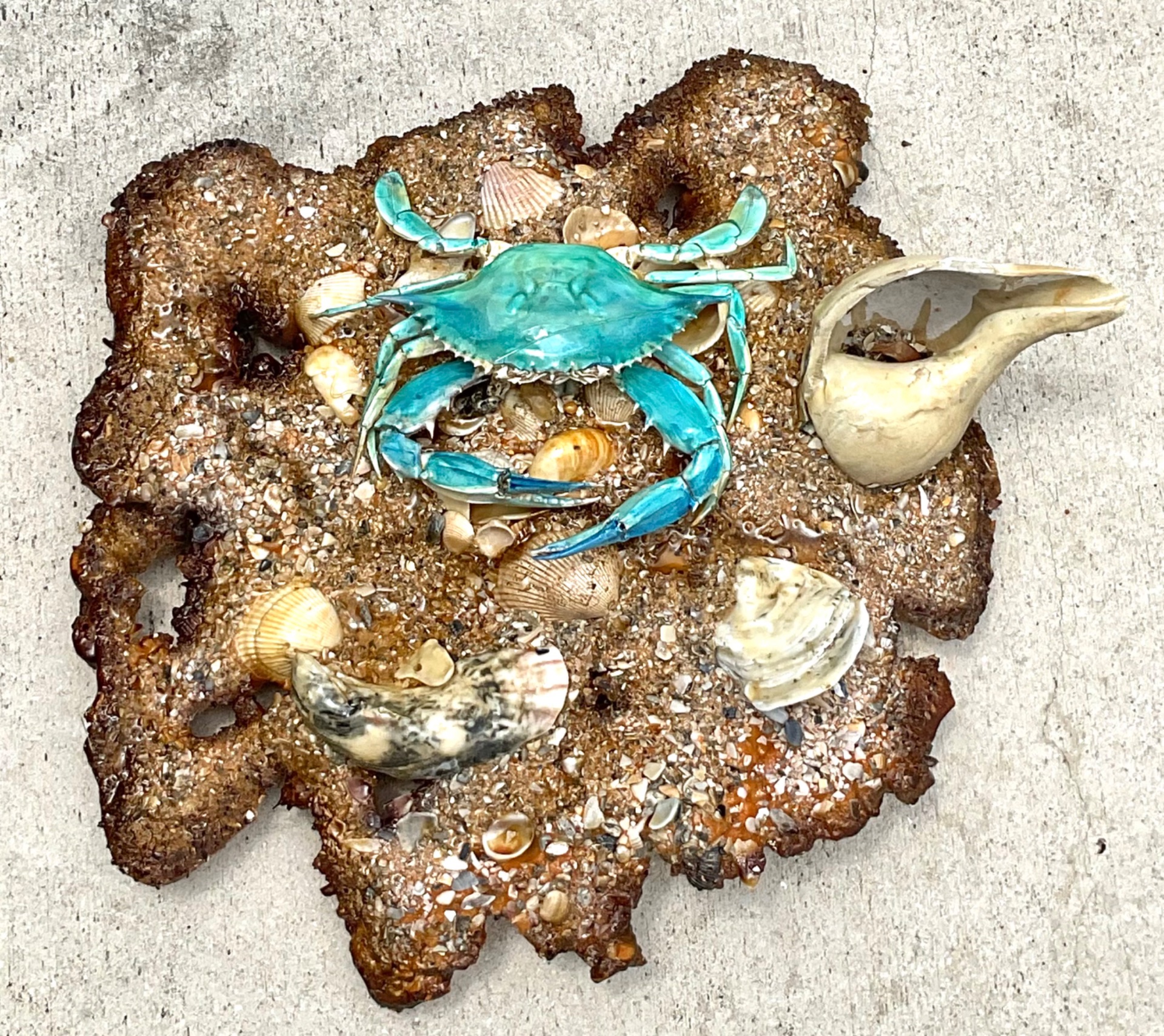 Vintage Coastal Crab and Shells Wall Art - Detail view