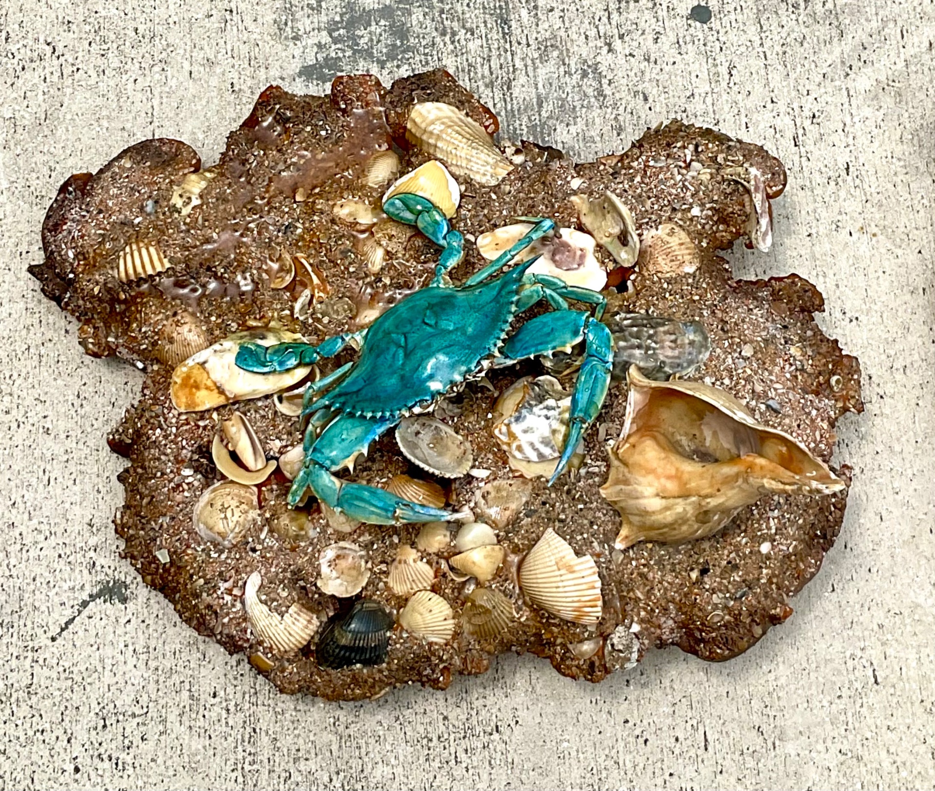 Vintage Coastal Crab and Shells Wall Art - Side view