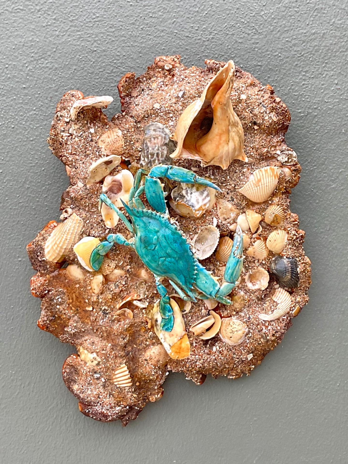 Vintage Coastal Crab and Shells Wall Art - Detail view