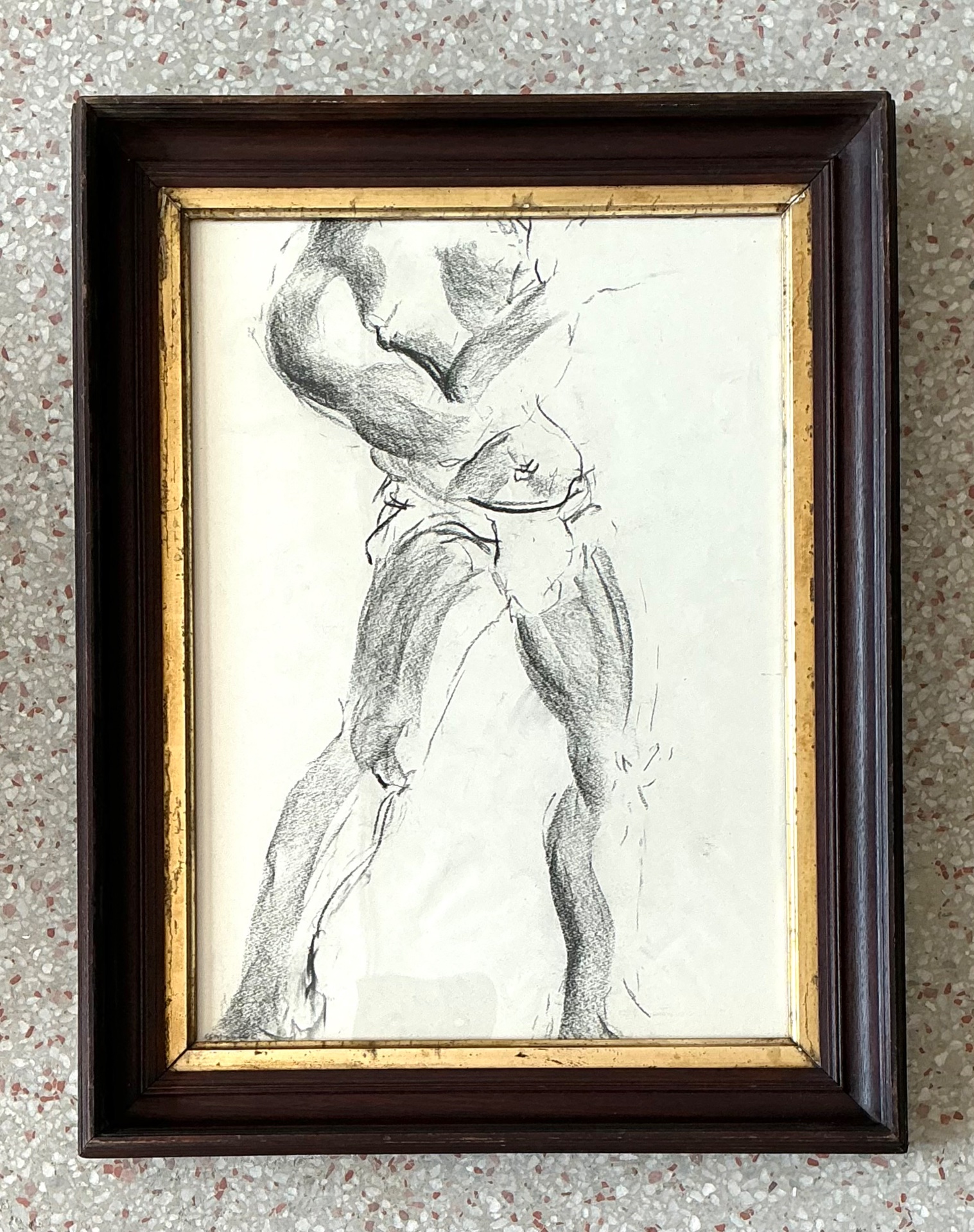 Vintage Graphite Male Torso Study - Back view