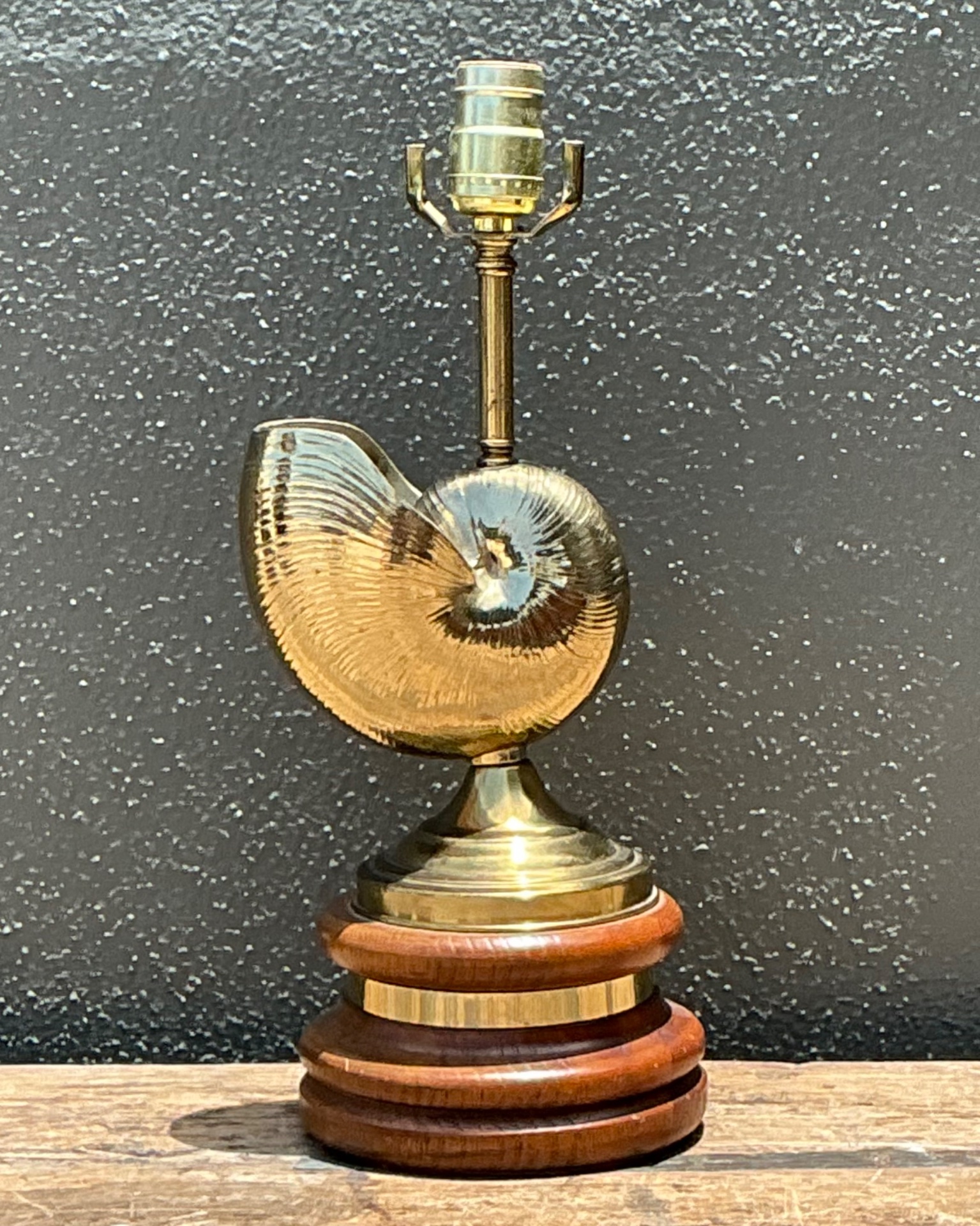 Vintage Brass Nautilus Shell Table Lamp - Side view