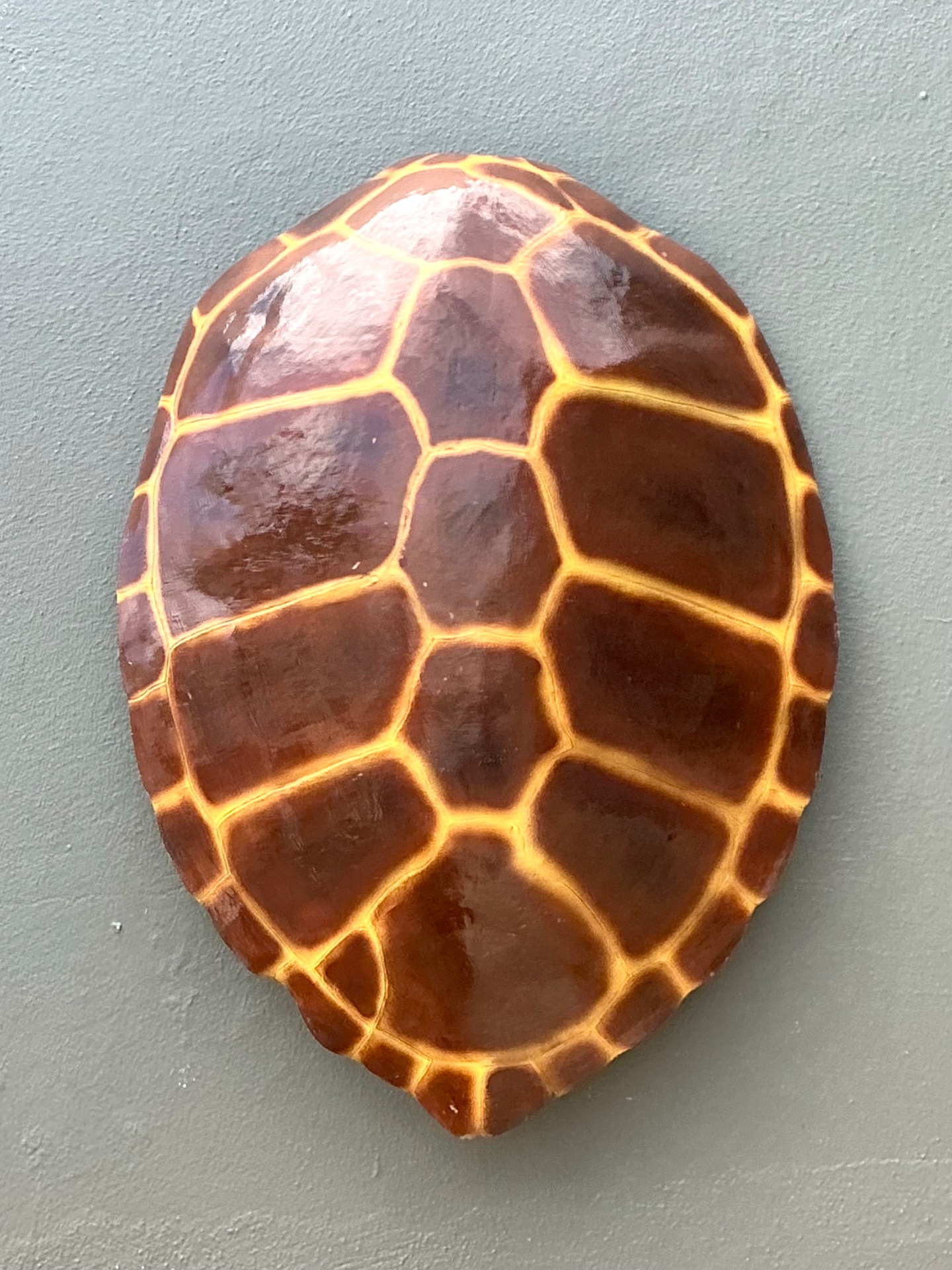 Vintage Monumental Faux Tortoise Shell - Back view