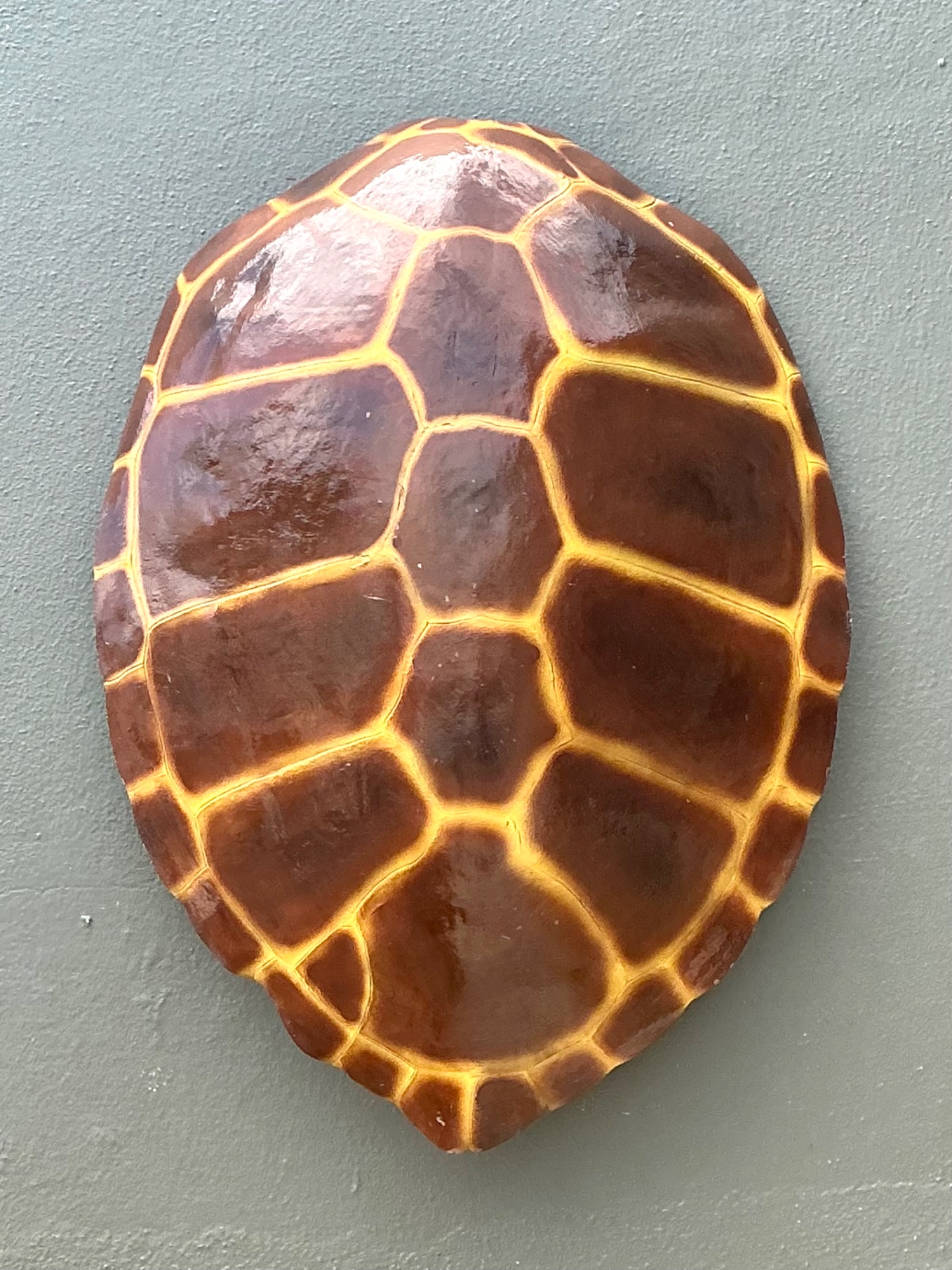 Vintage Monumental Faux Tortoise Shell - Detail view