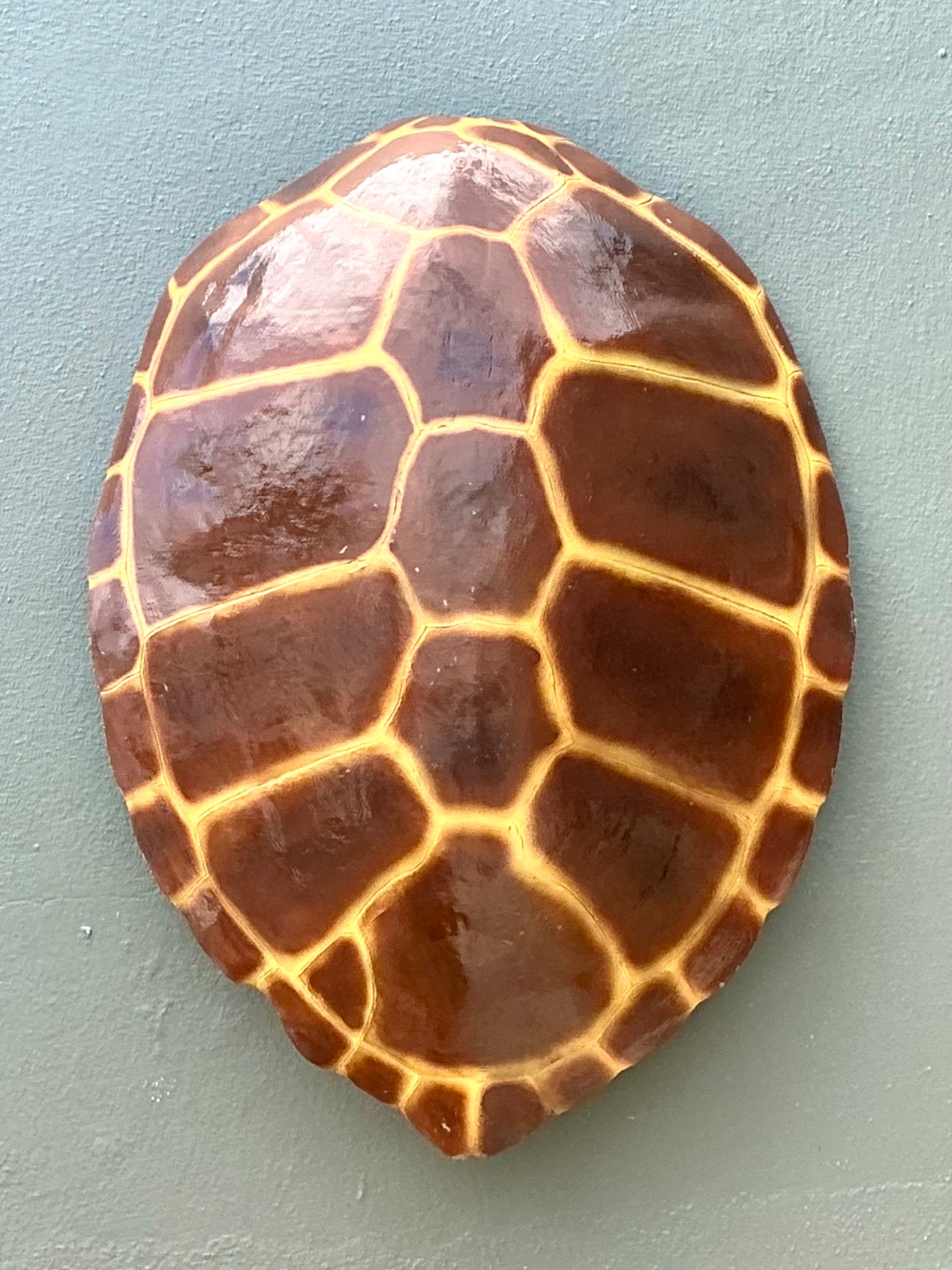 Vintage Monumental Faux Tortoise Shell - Top view