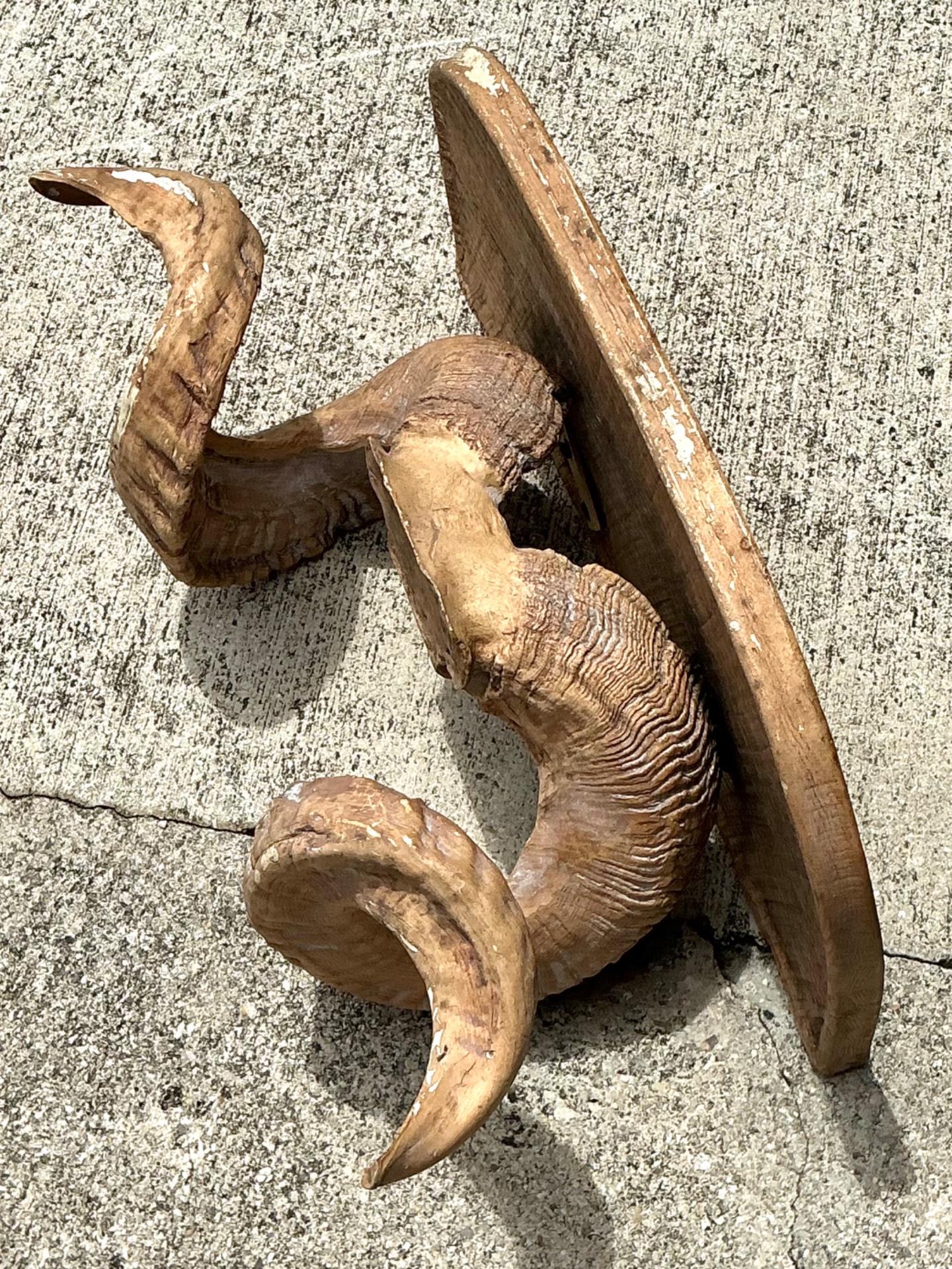 Vintage Faux Ram’s Horn Bracket - Top view