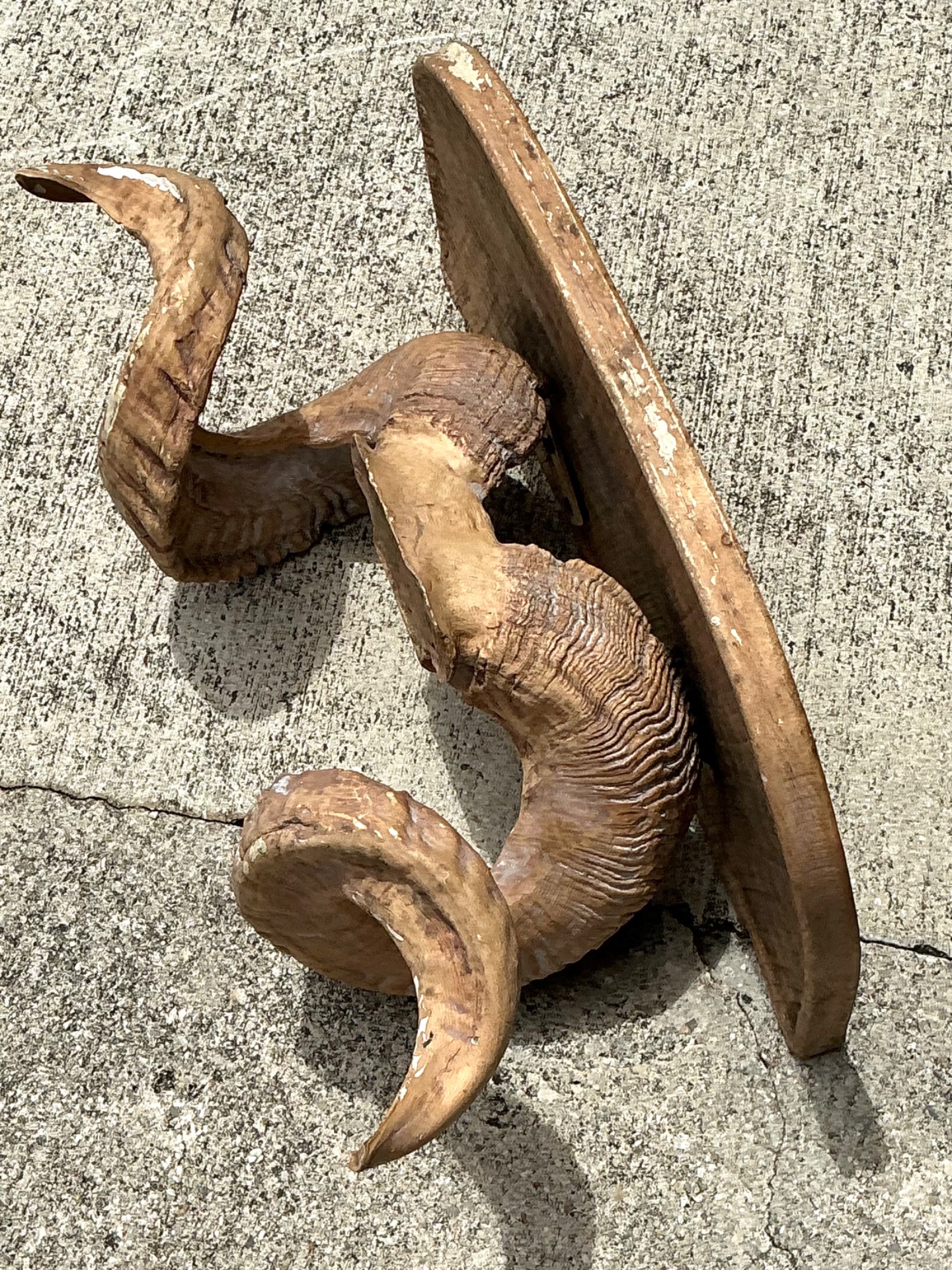 Vintage Faux Ram’s Horn Bracket - Detail view