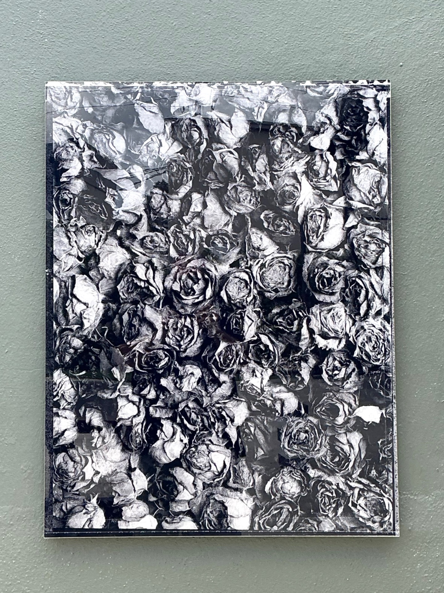 Vintage 1993 Mauricio Donelli “”A Thousand Of Roses” Photograph On Plexi - Side view