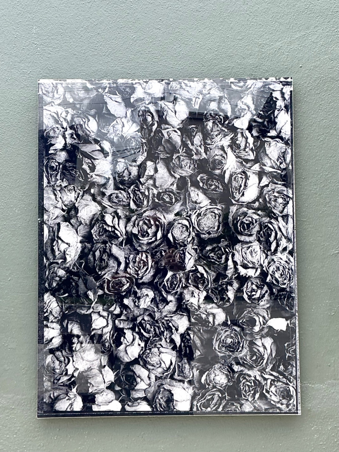 Vintage 1993 Mauricio Donelli “”A Thousand Of Roses” Photograph On Plexi - Top view