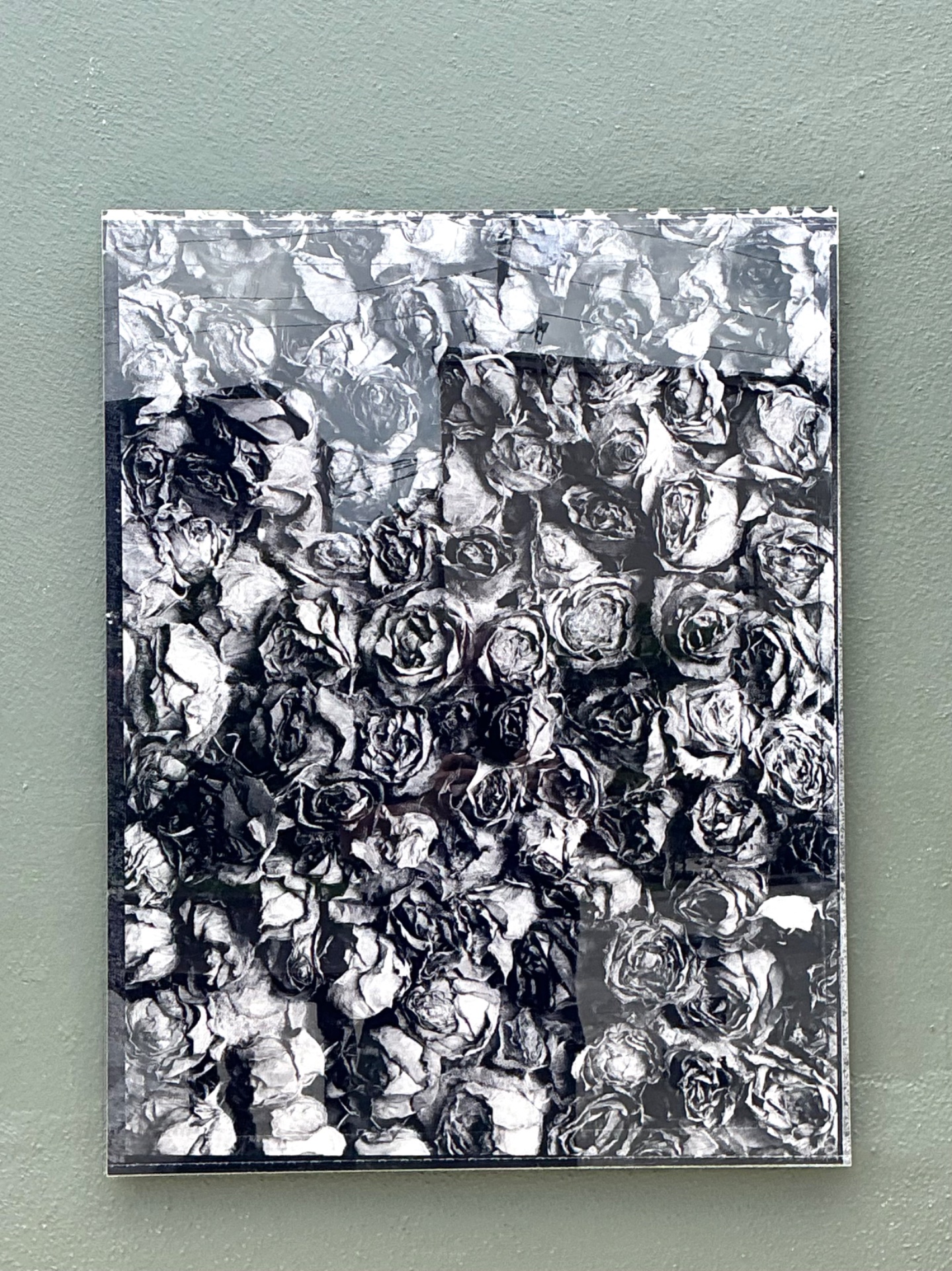 Vintage 1993 Mauricio Donelli “”A Thousand Of Roses” Photograph On Plexi - Back view