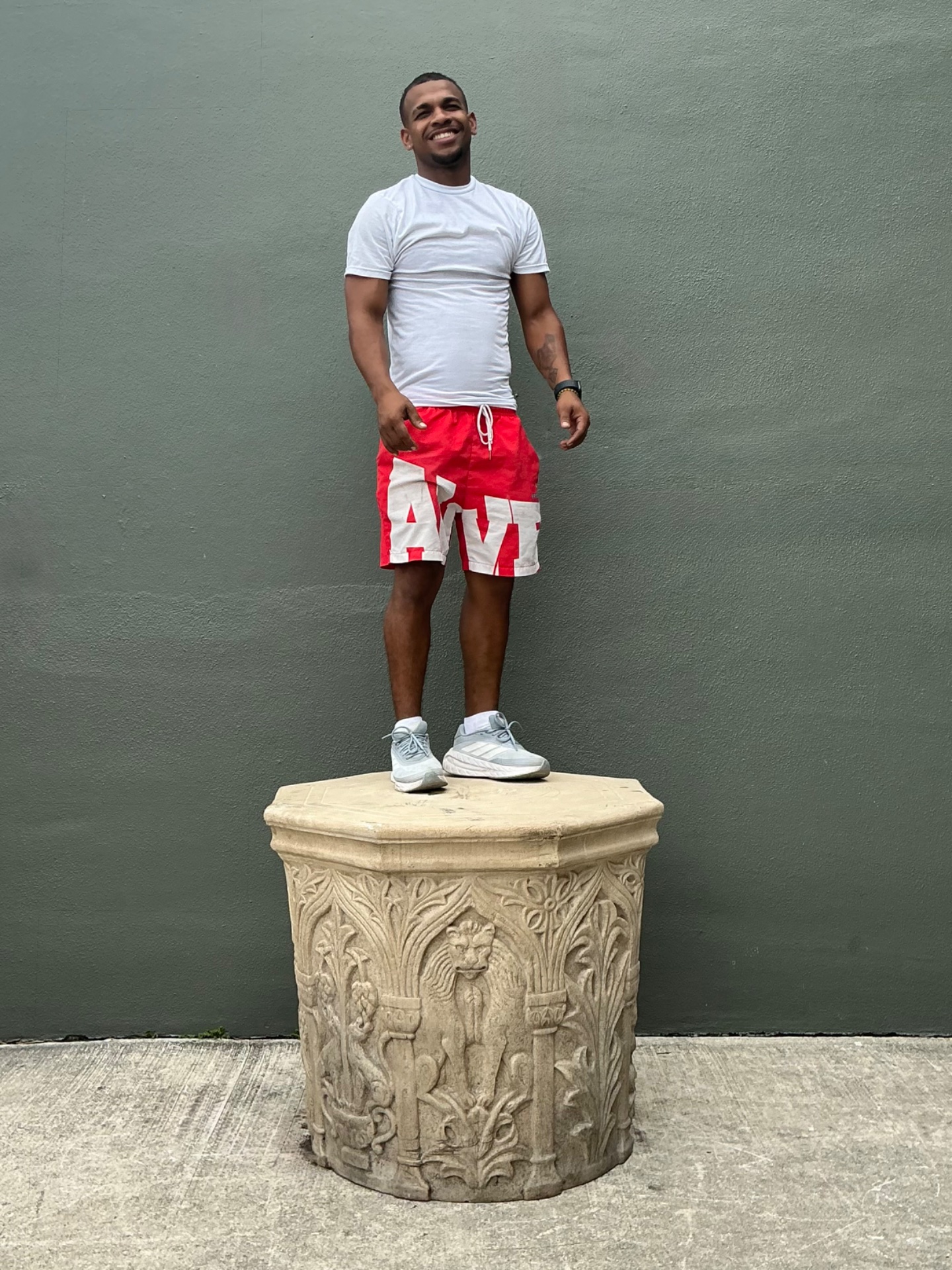 Vintage Cast Stone Lions Head Table Pedestal - Top view