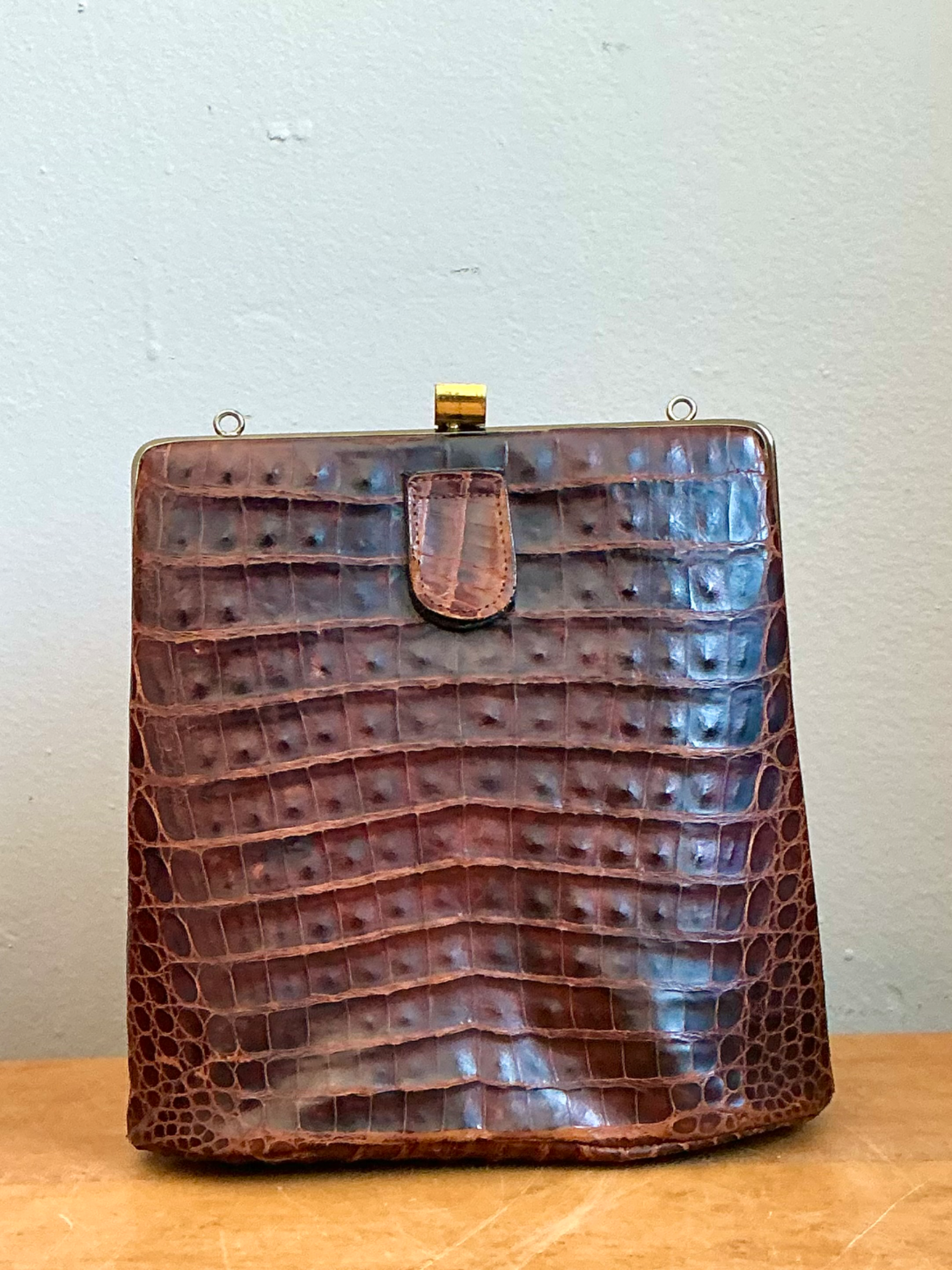 Vintage Crocodile Metal Frame Handbag - Side view