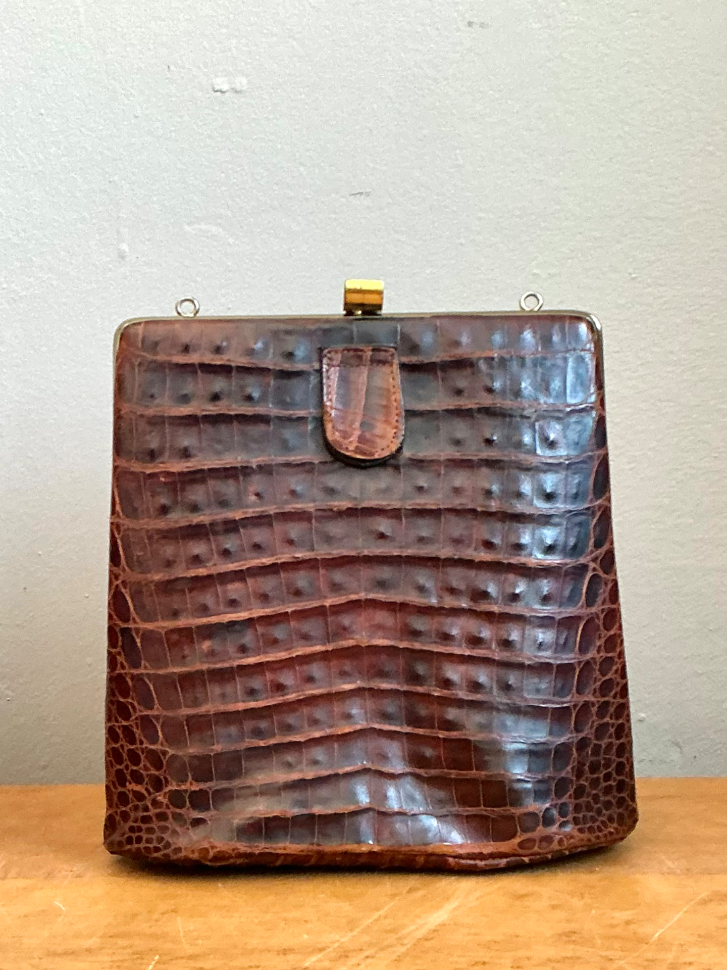 Vintage Crocodile Metal Frame Handbag - Top view