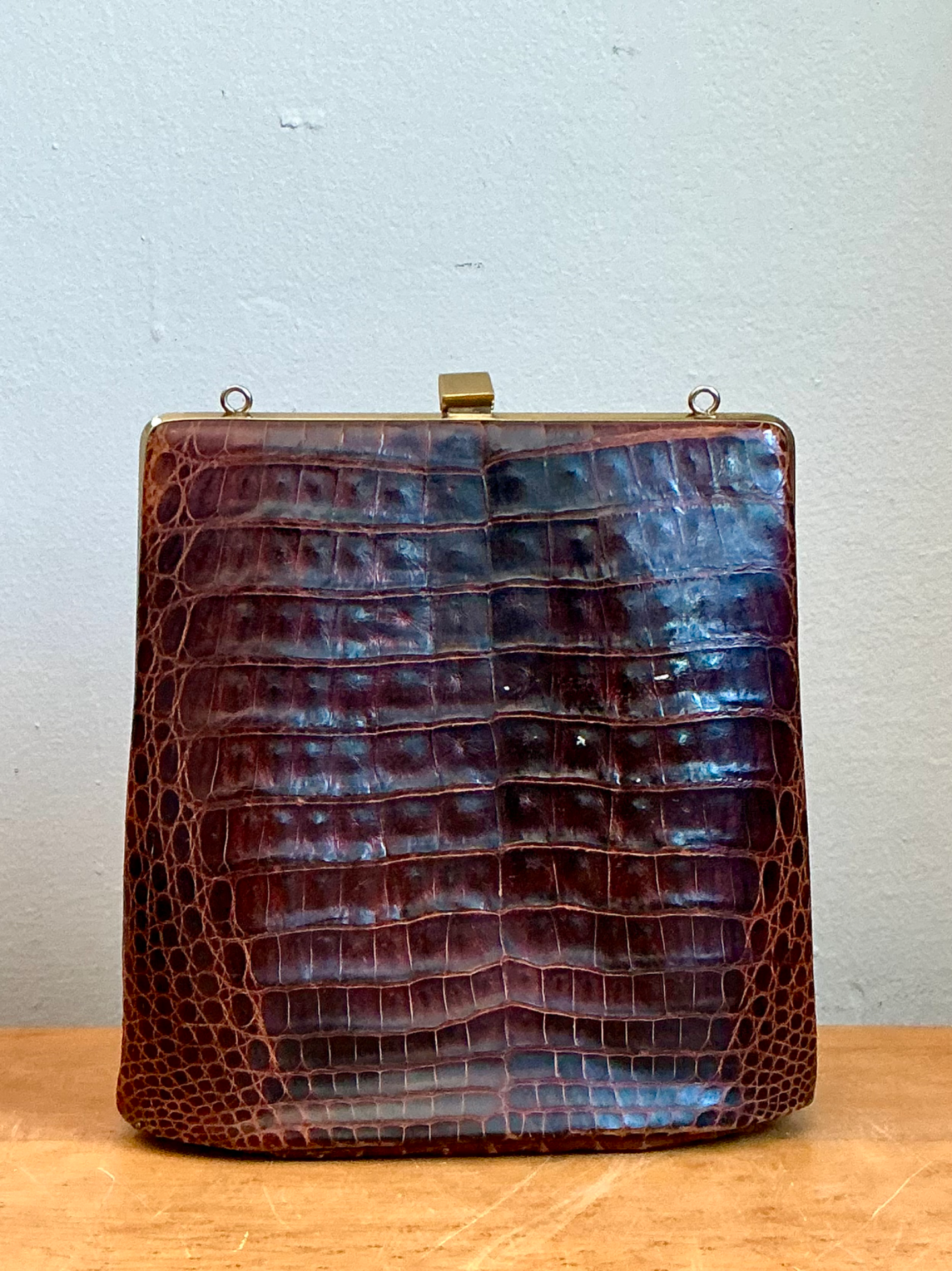 Vintage Crocodile Metal Frame Handbag - Detail view