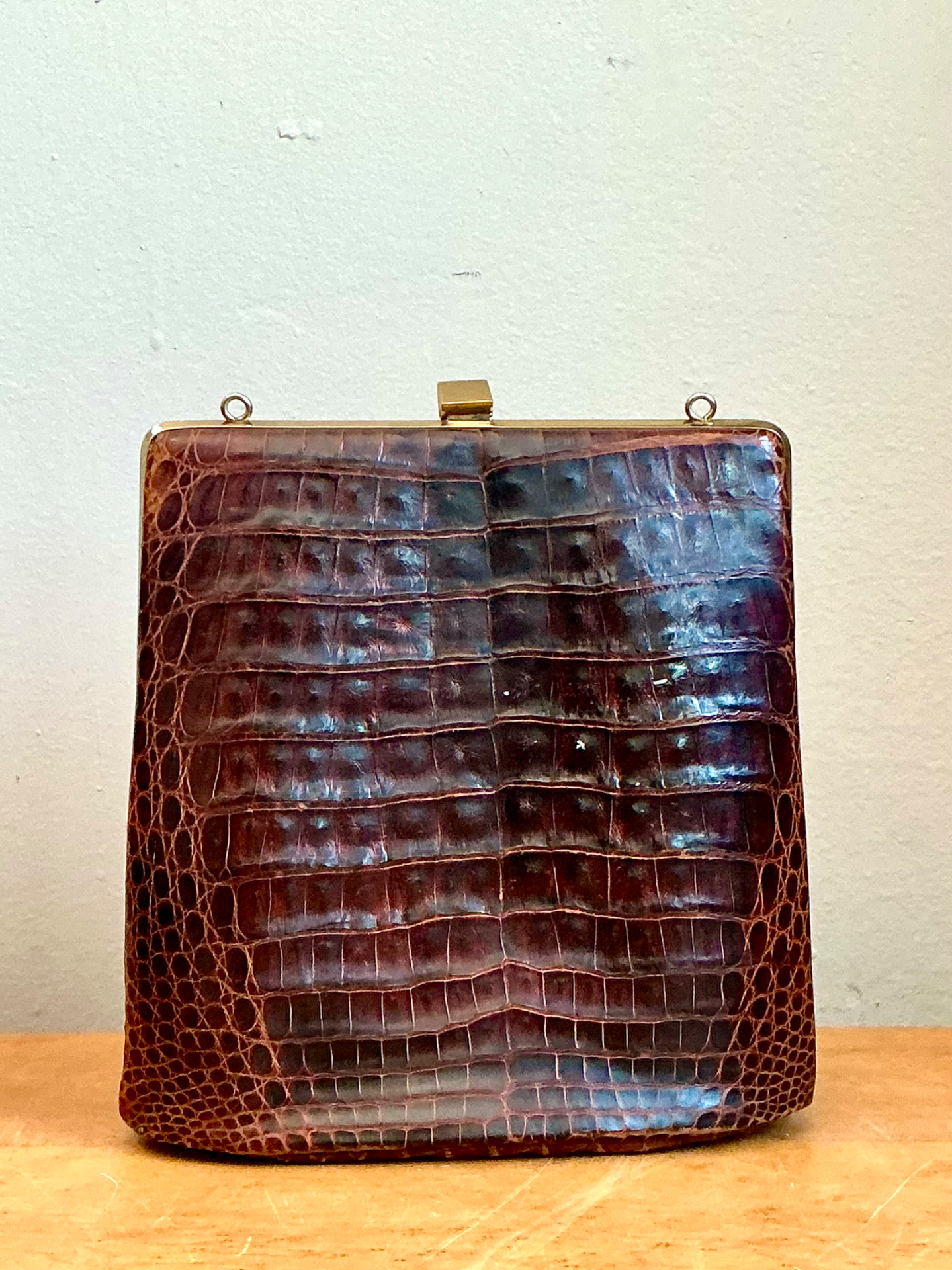 Vintage Crocodile Metal Frame Handbag - Back view