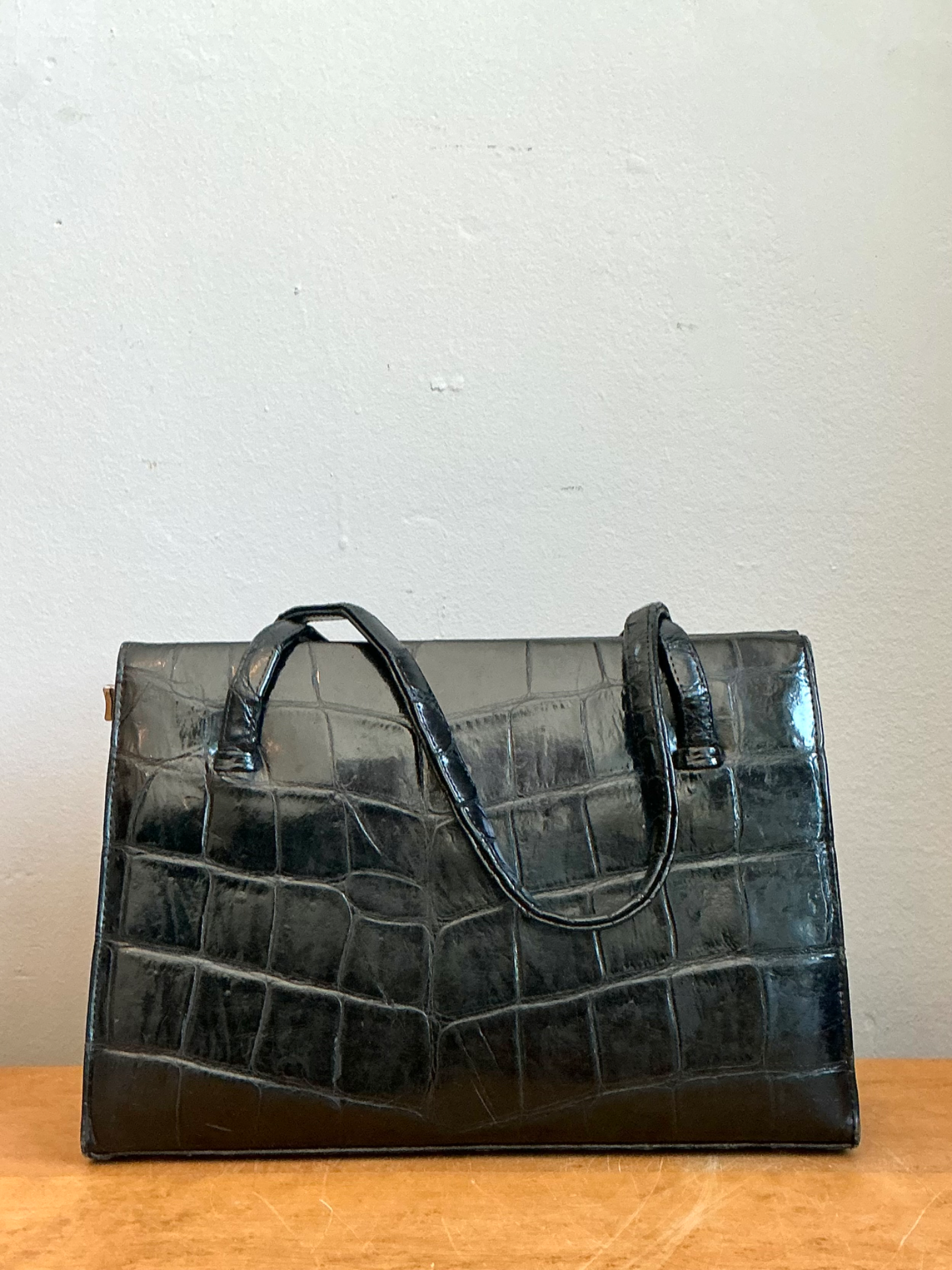 Vintage Crocodile Handbag with Metal Frame - Back view