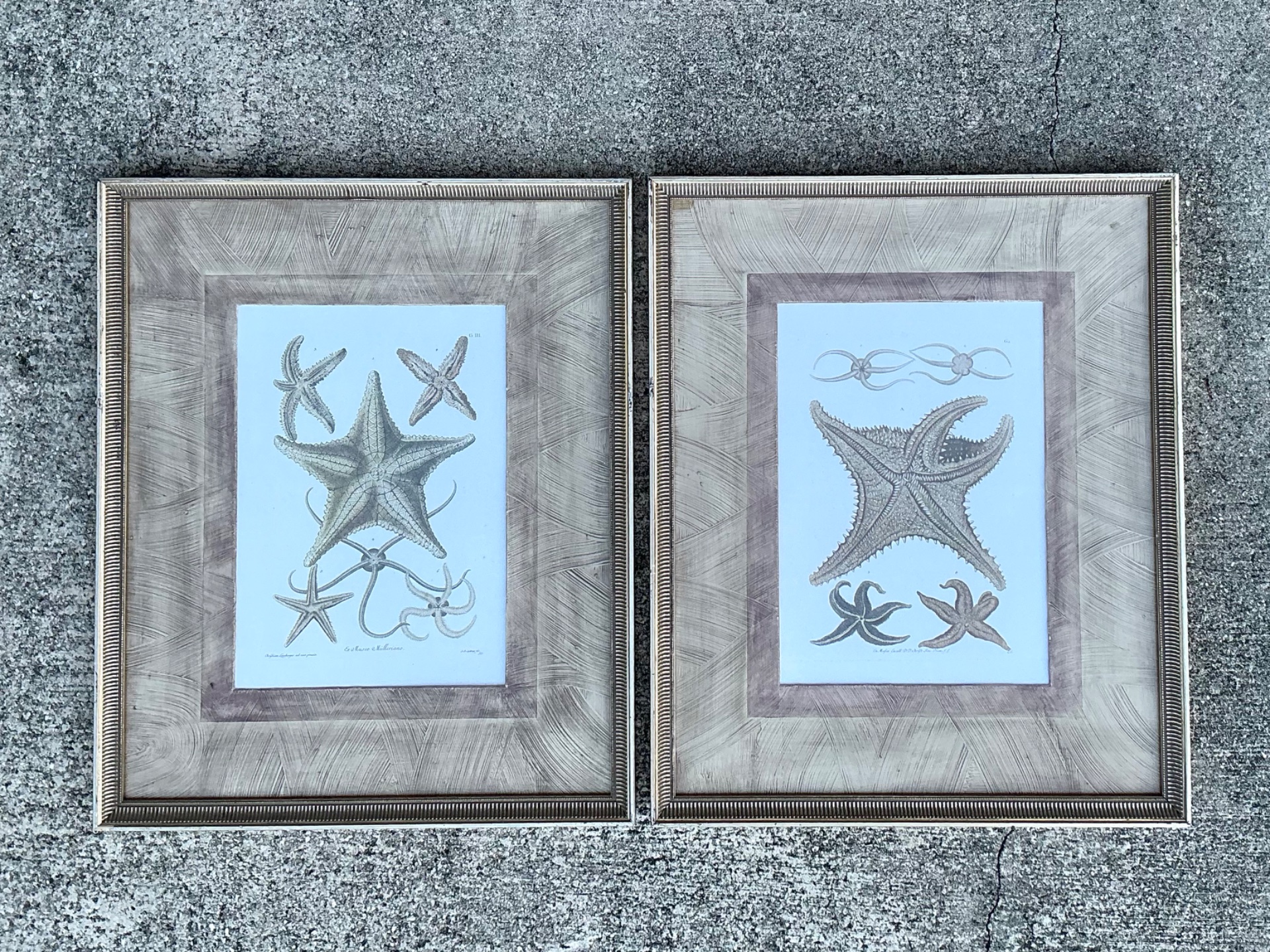Vintage John Richard Coastal Prints - Set Of 2  - Top view