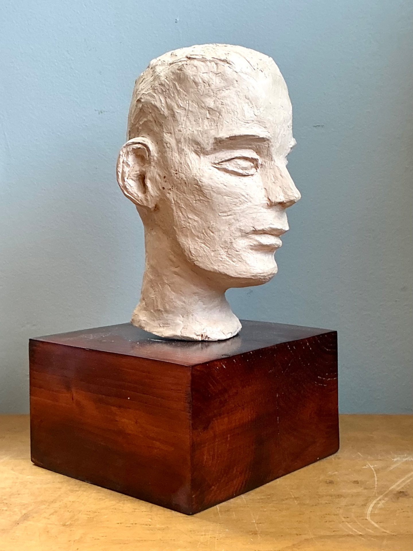 Vintage Plaster Bust Of Man - Side view