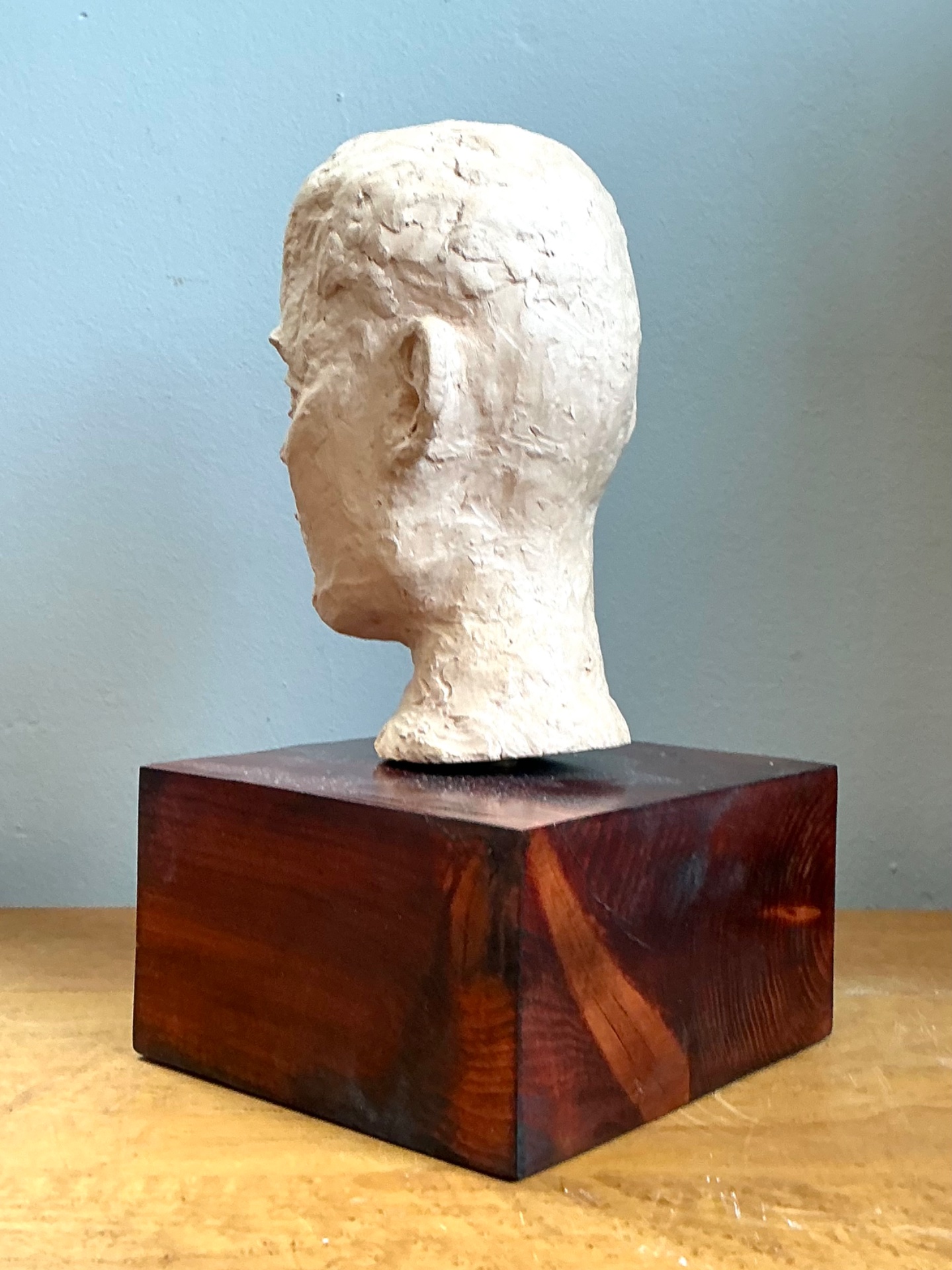 Vintage Plaster Bust Of Man - Top view