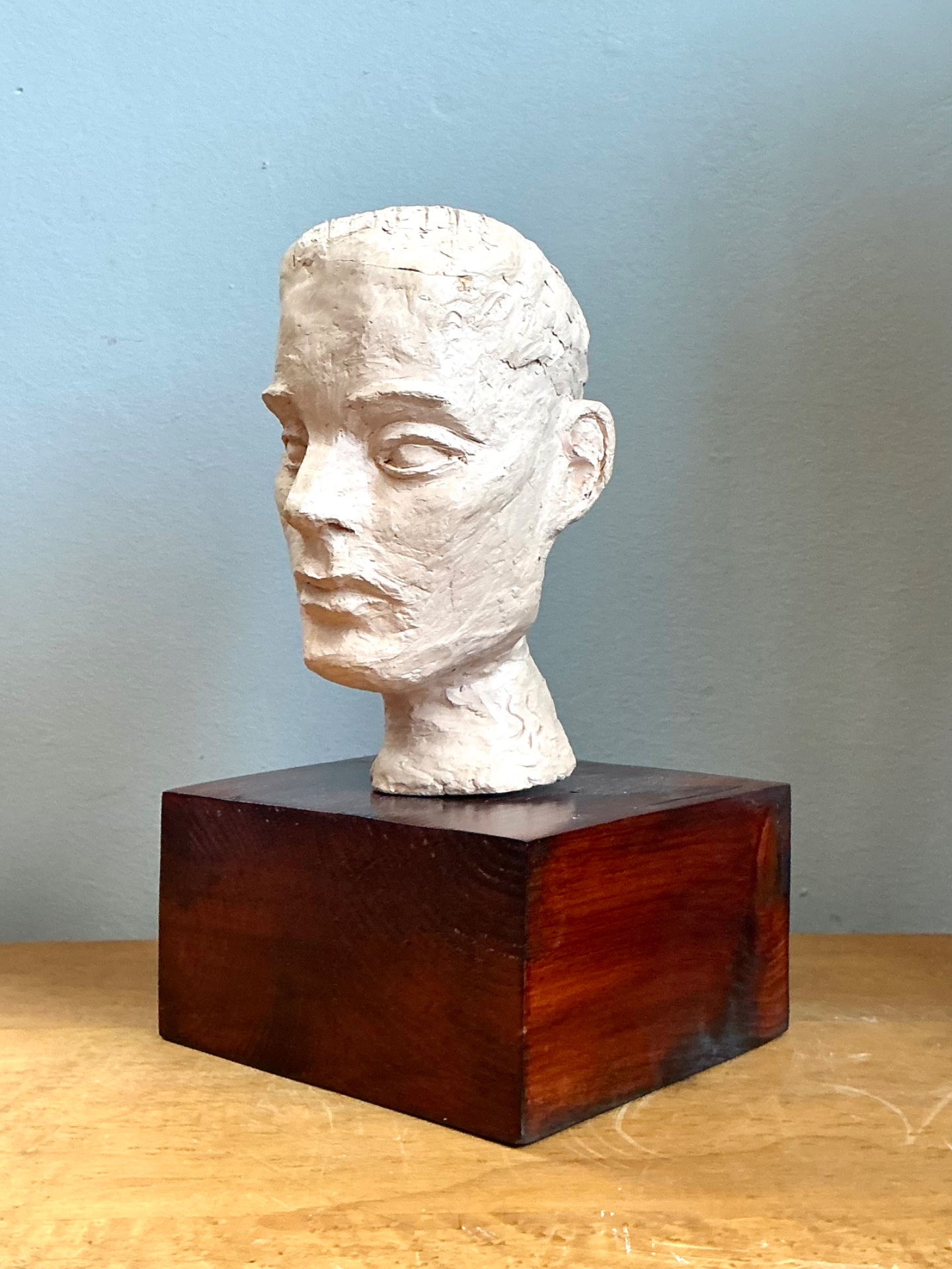 Vintage Plaster Bust Of Man - Back view