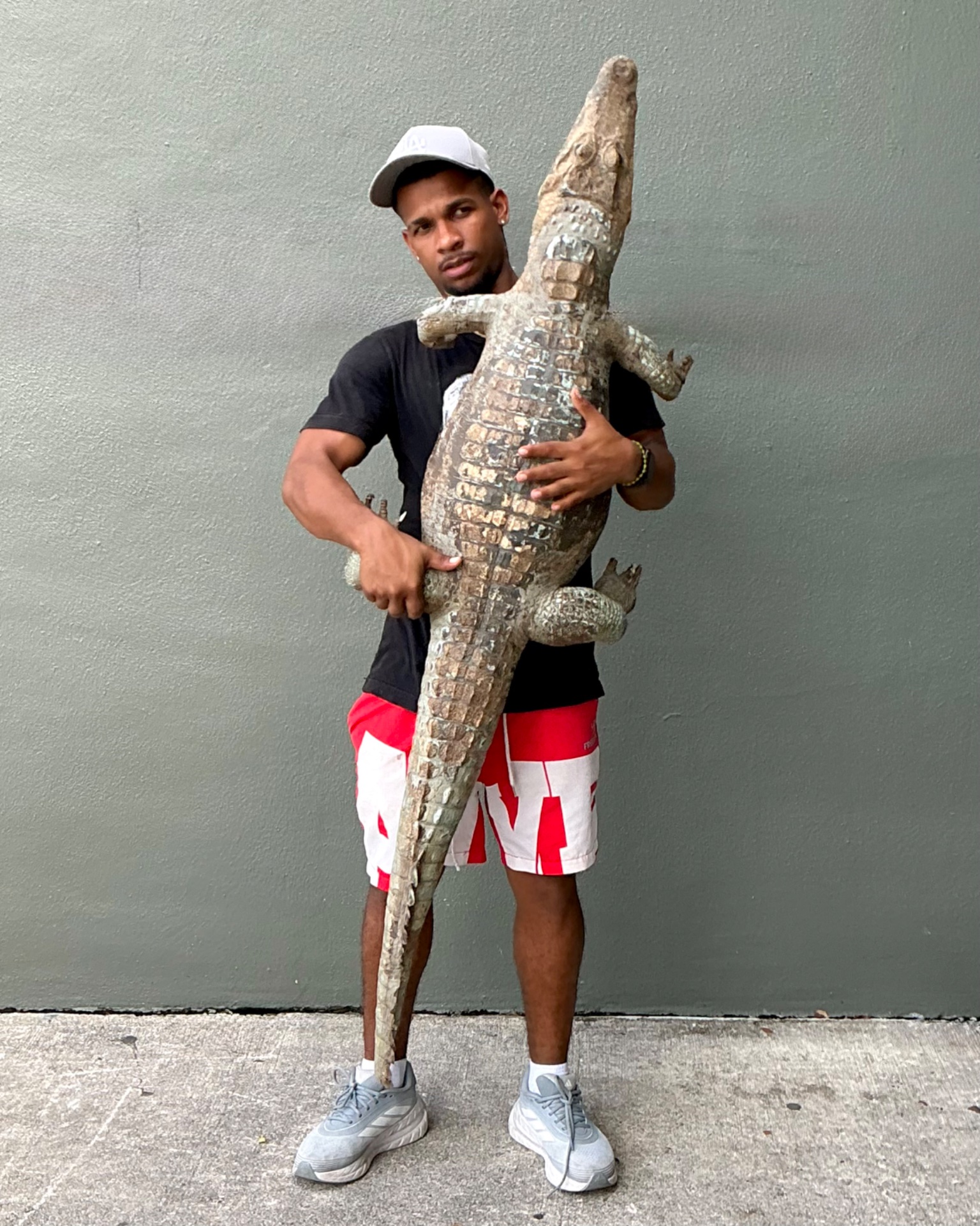 Vintage MCM Taxidermy Alligator - Side view