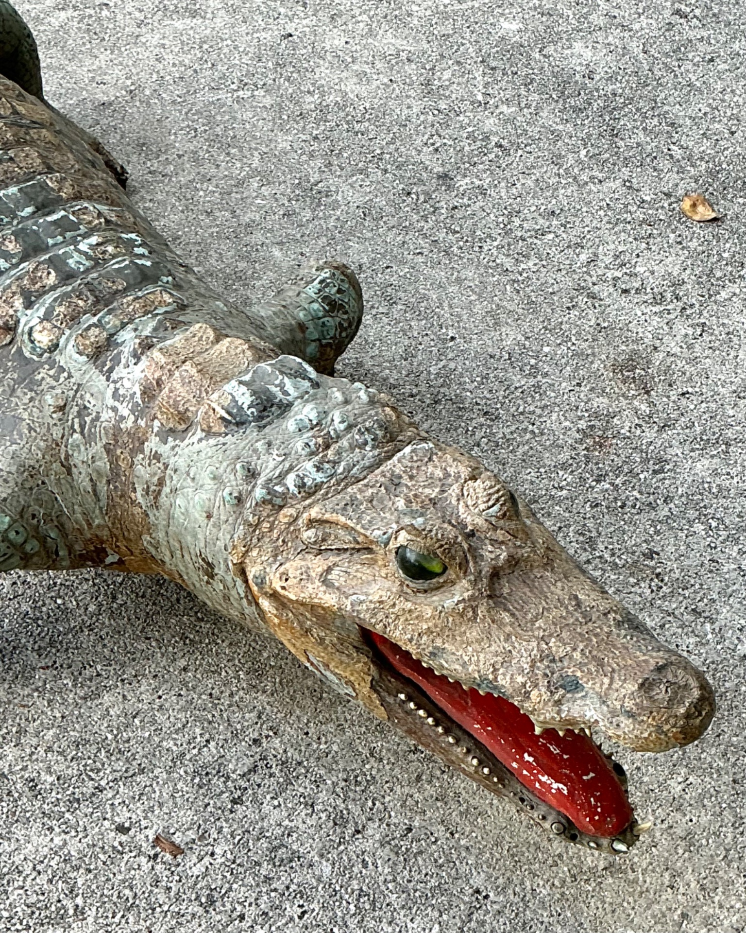 Vintage MCM Taxidermy Alligator - Detail view