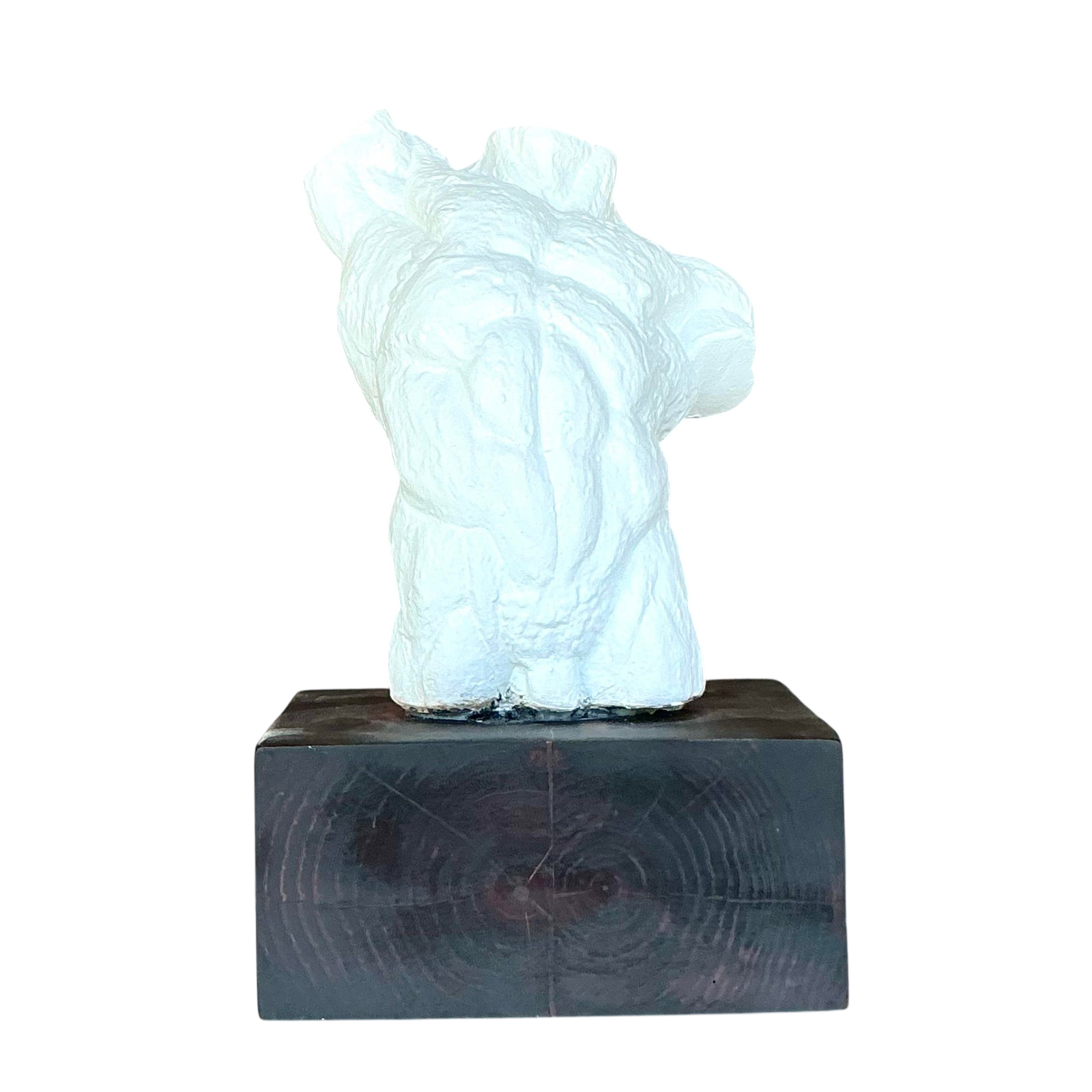 Mid 20th Century Vintage Boho Plaster Torso of Man - Detail view
