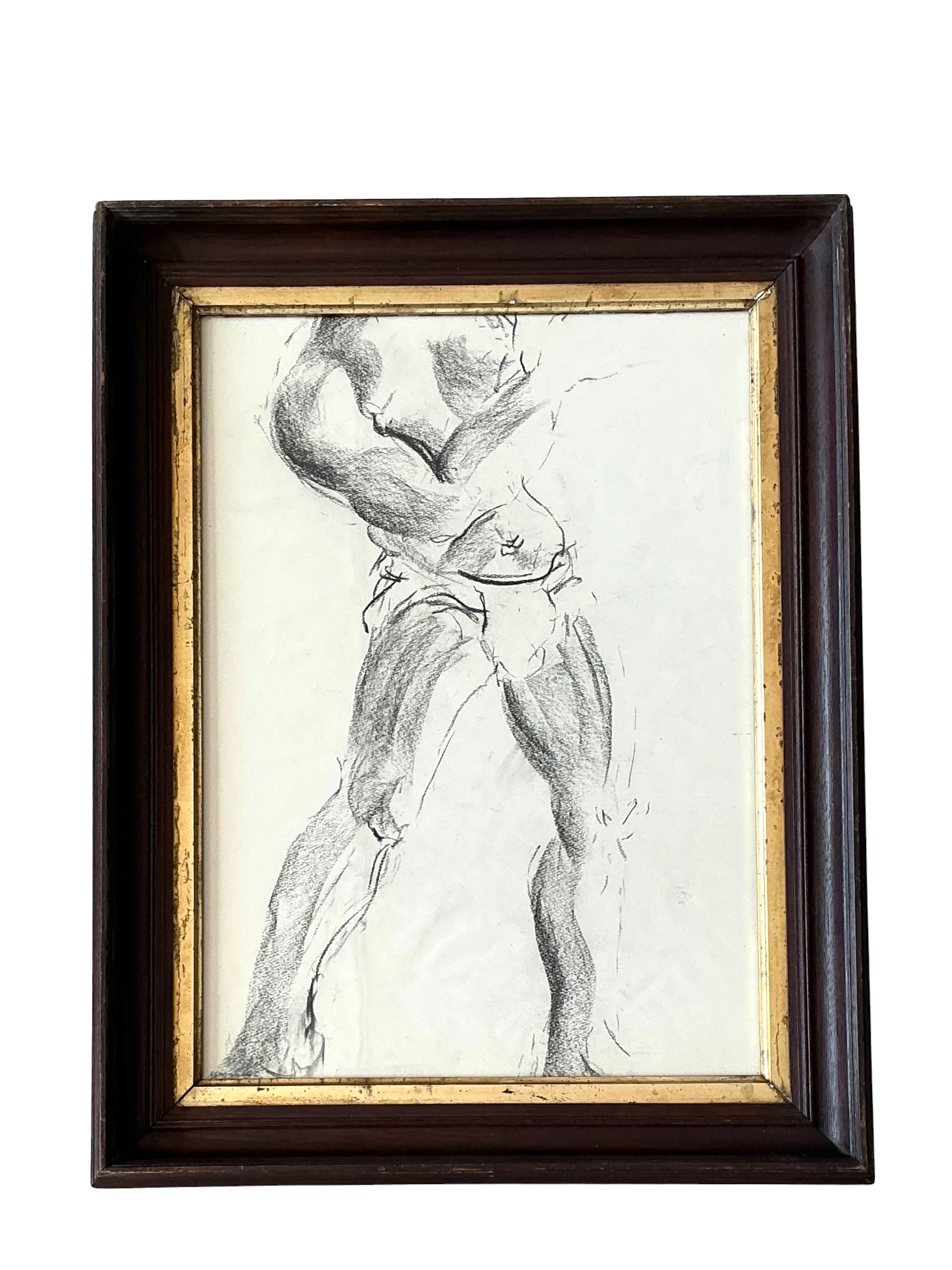 Vintage Graphite Male Torso Study