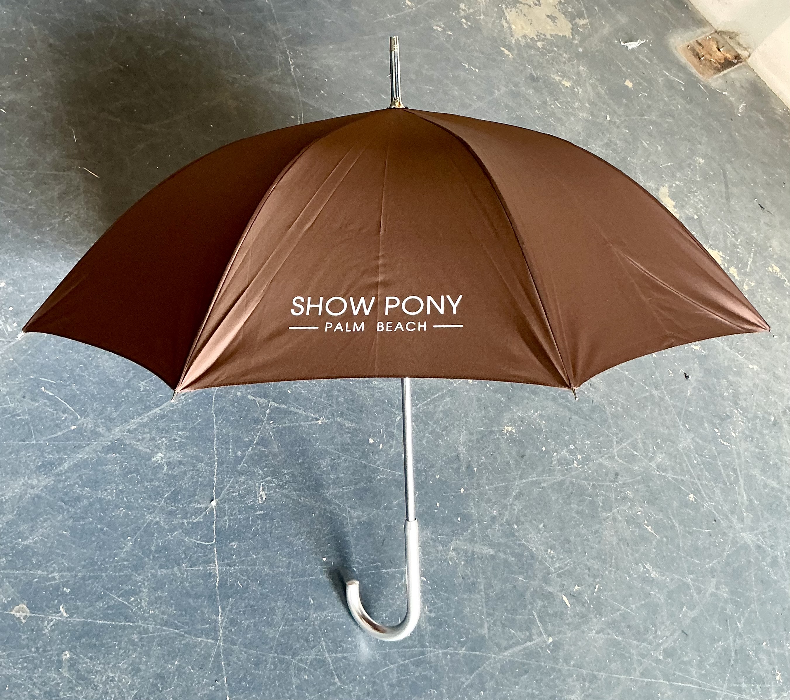 SHOWPONY Exclusive Chrome Handled Logo Umbrella - Top view