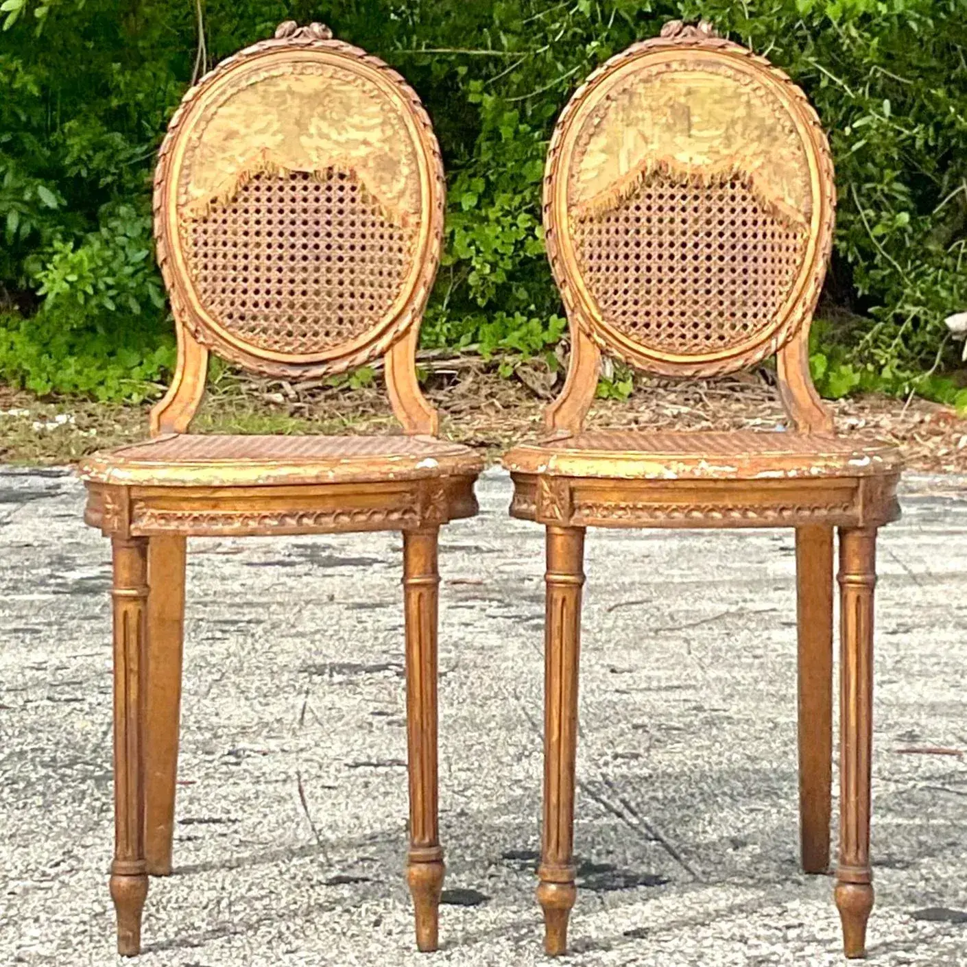 Vintage 18th Century Gesso and Cane Medallion Chairs With Tapestry Detail - a Pr - Top view