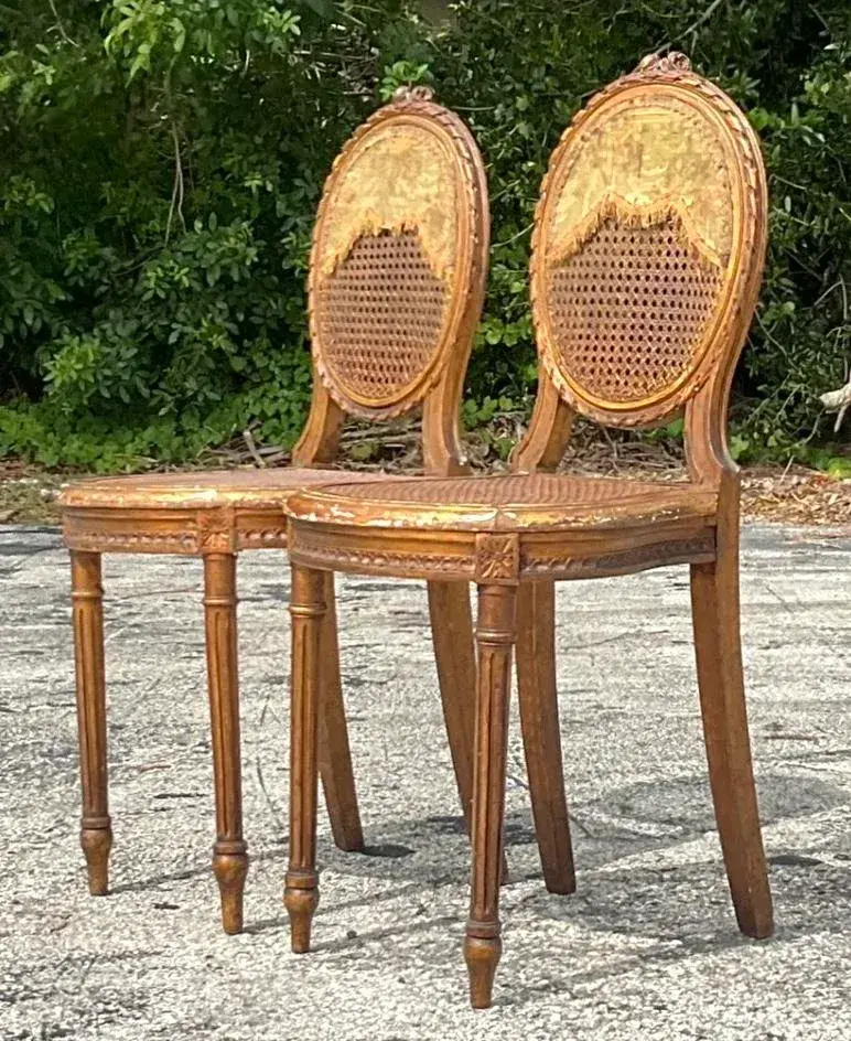 Vintage 18th Century Gesso and Cane Medallion Chairs With Tapestry Detail - a Pr - Side view