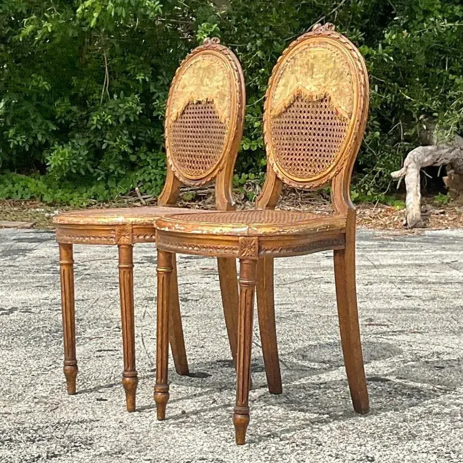 Vintage 18th Century Gesso and Cane Medallion Chairs With Tapestry Detail - a Pr - Back view