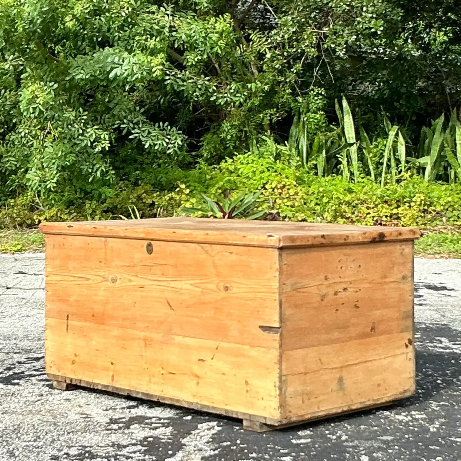 Vintage Boho 19th Century Pine Blanket Chest - Detail view