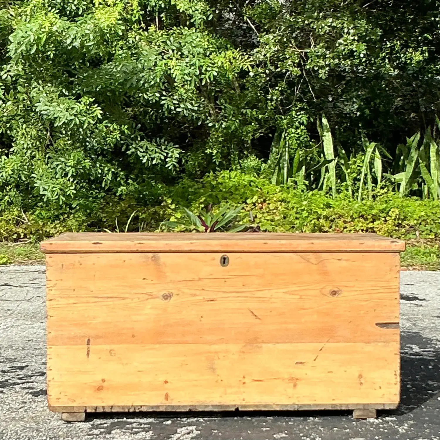Vintage Boho 19th Century Pine Blanket Chest - Side view