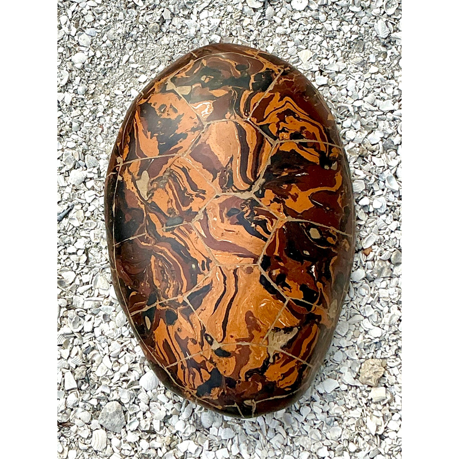Vintage Boho Artisinal Pigmented Plaster Scagliola Turtle Shell - Back view