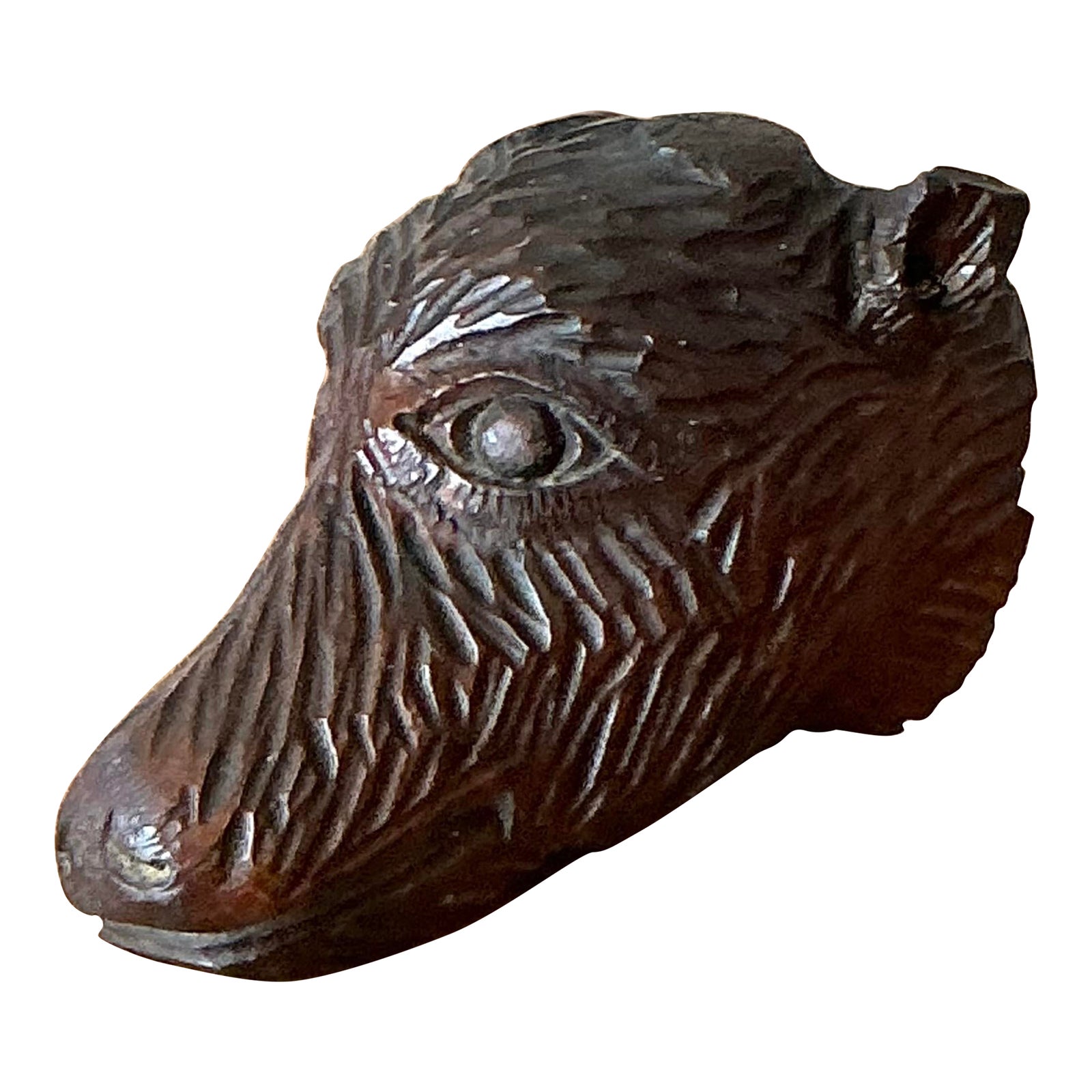 Vintage Boho Black Forest Carved Boar Head - Detail view