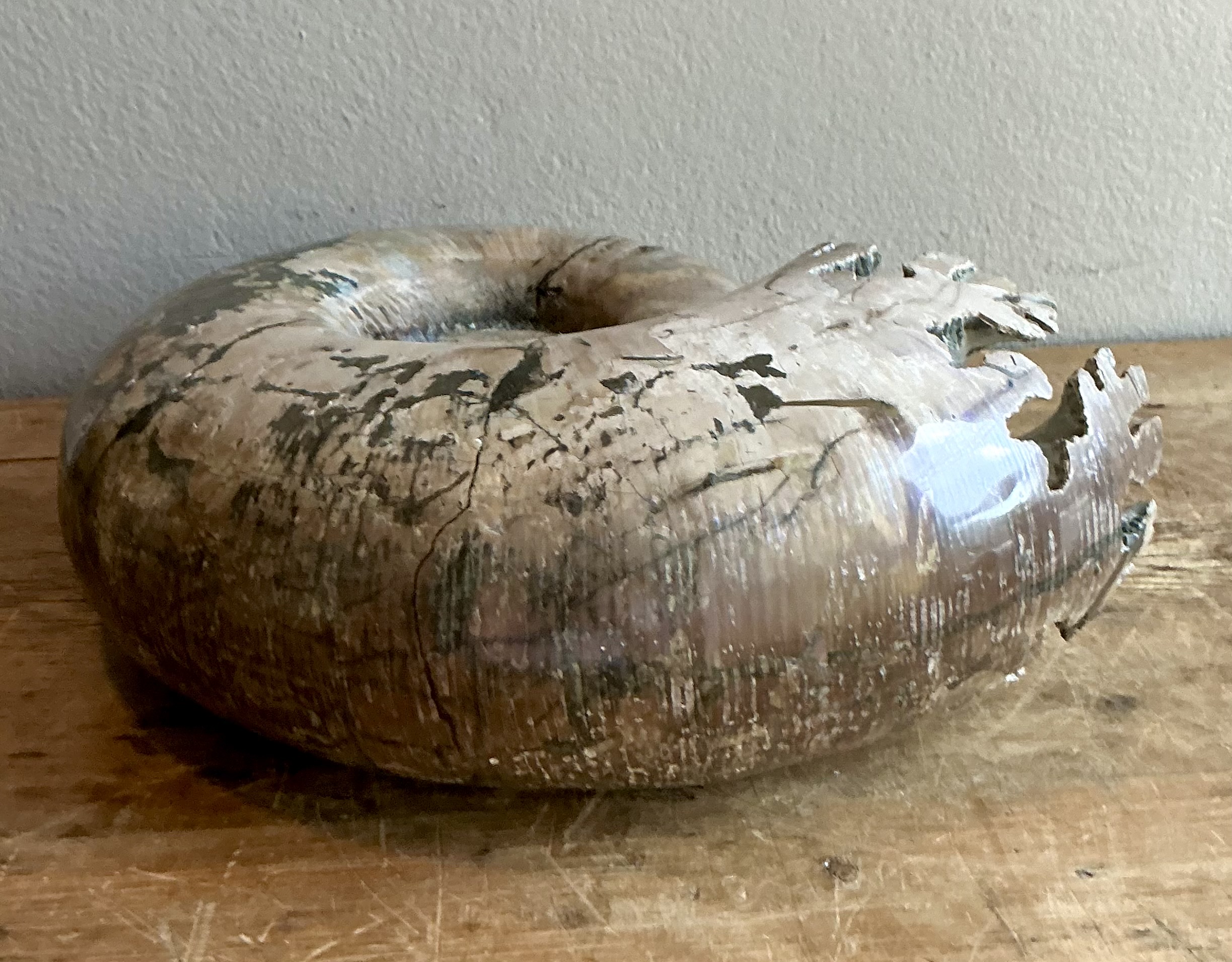 Vintage Boho Extra Large Ammonite Specimen - Back view