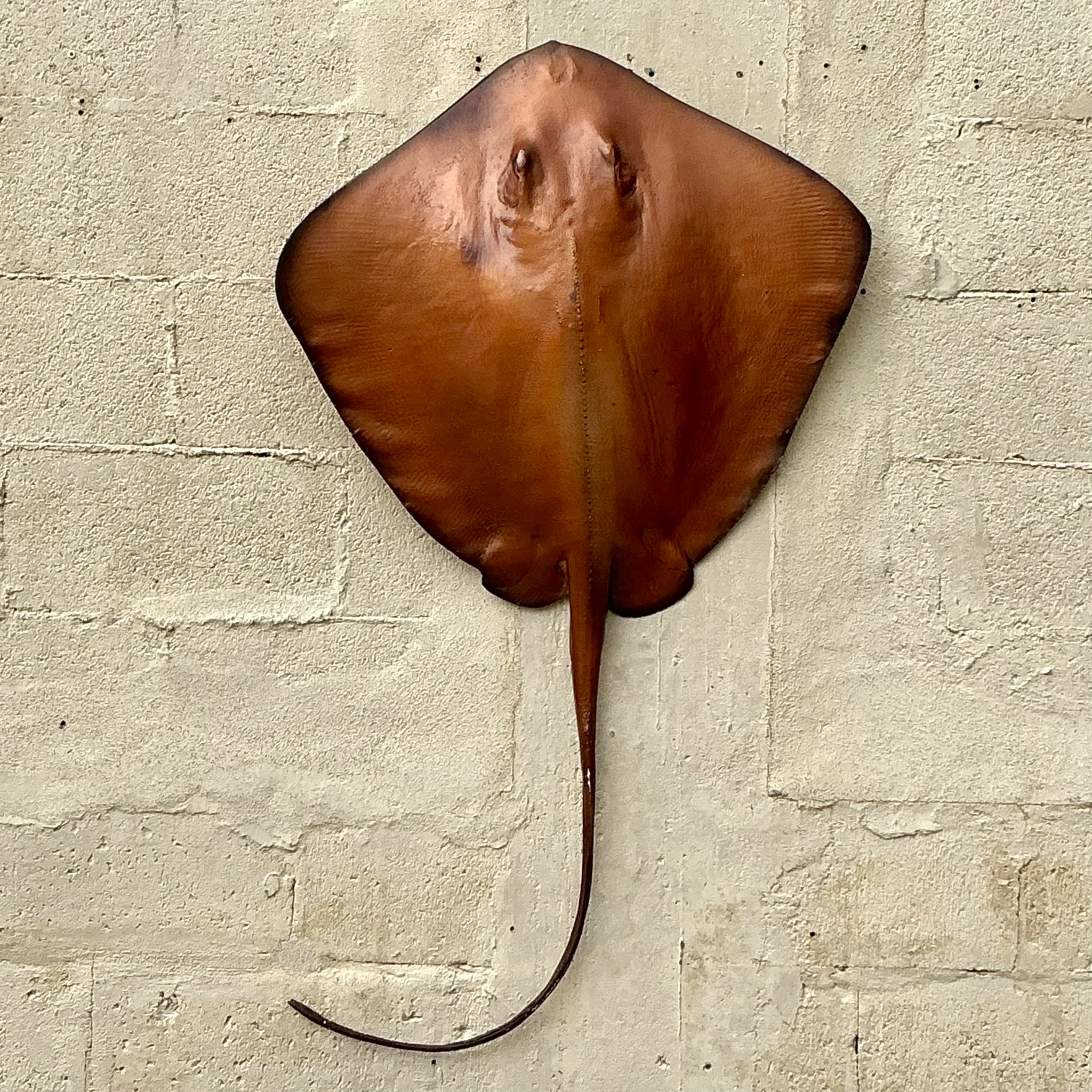Vintage Boho Life Size Fiberglass Stingray - Top view