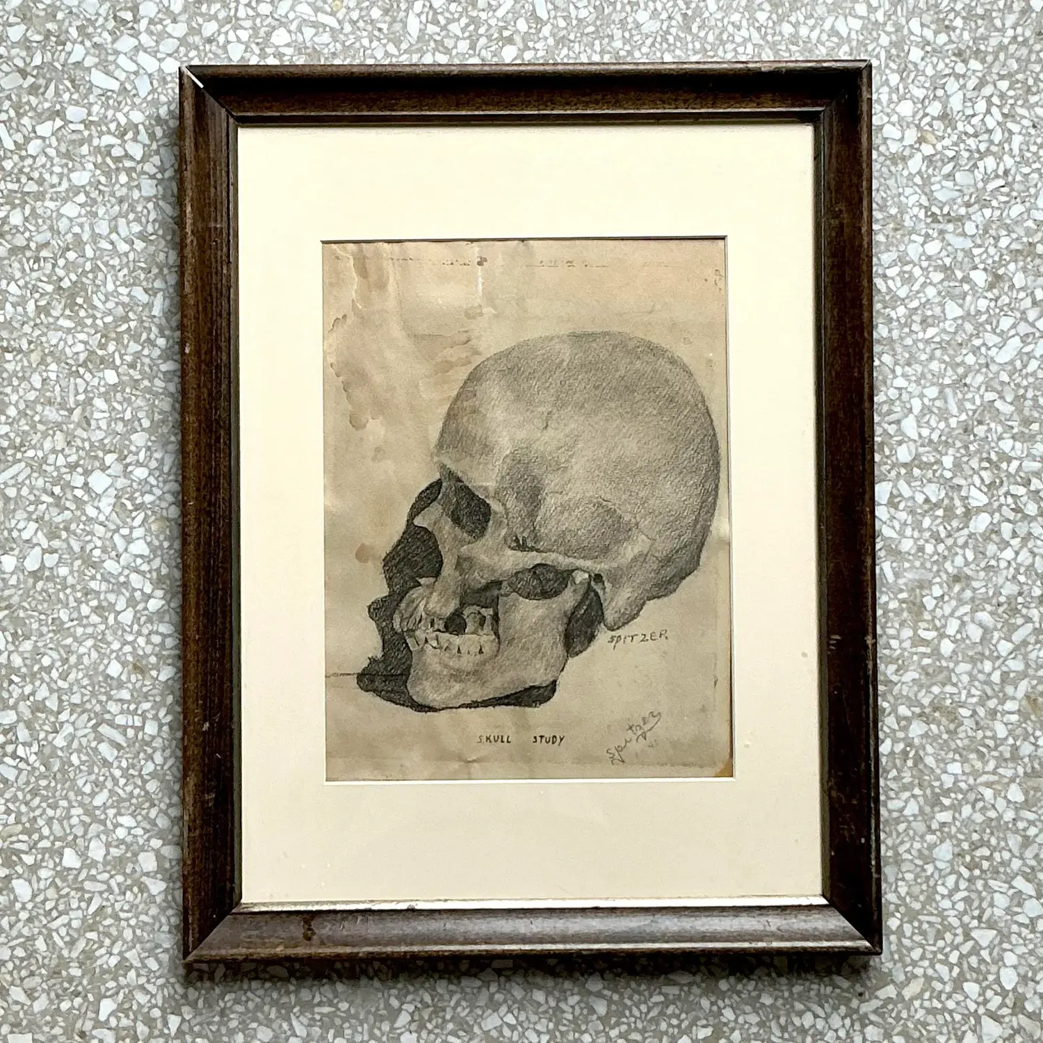 Vintage Boho Original Pencil Sketch of Skull - Back view
