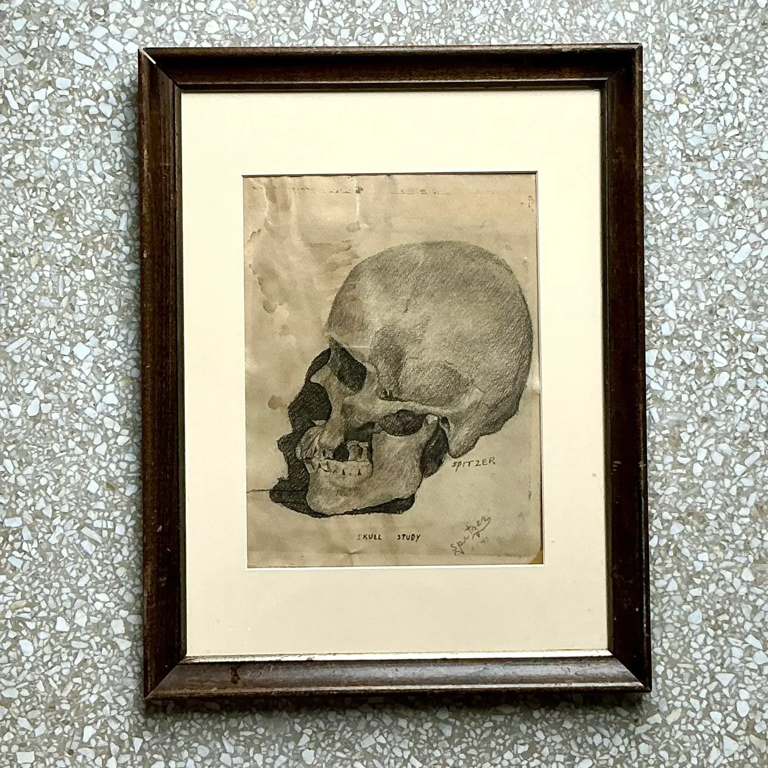 Vintage Boho Original Pencil Sketch of Skull - Side view