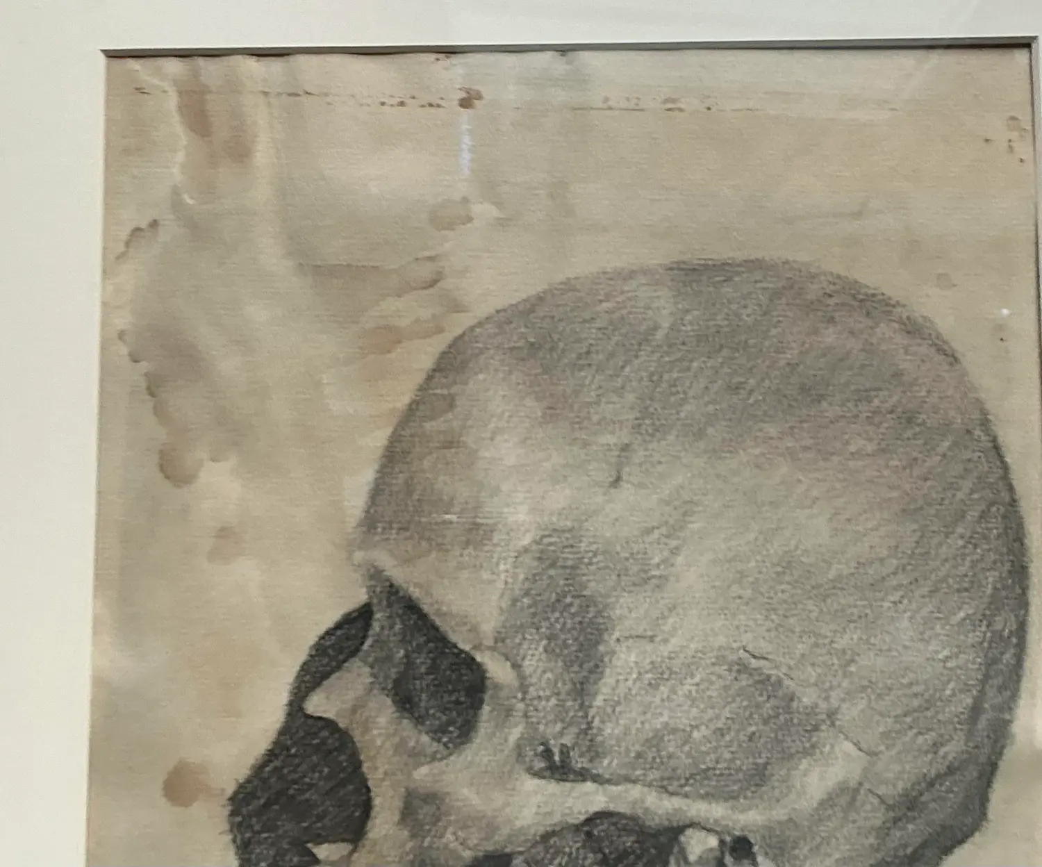 Vintage Boho Original Pencil Sketch of Skull - Top view