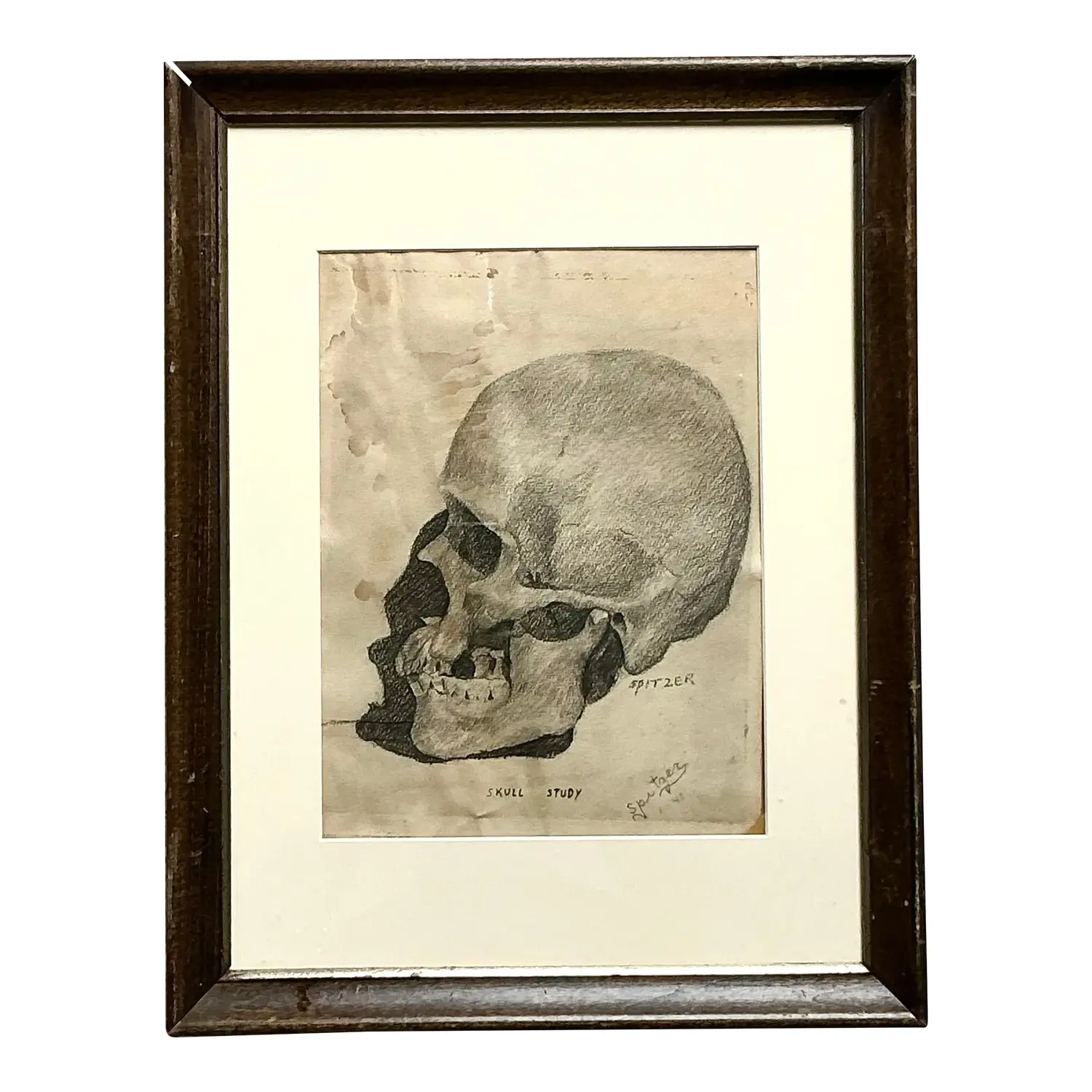 Vintage Boho Original Pencil Sketch of Skull