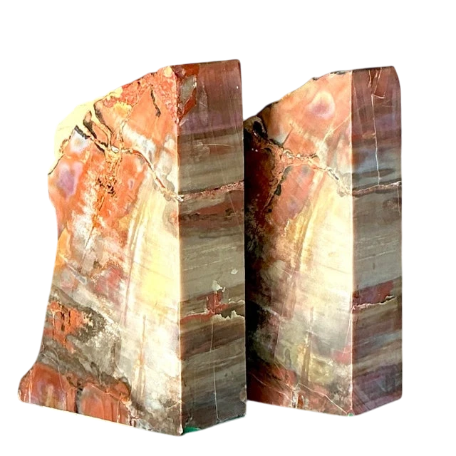 Vintage Boho Petrified Wood Bookends- Set of 2 - Detail view
