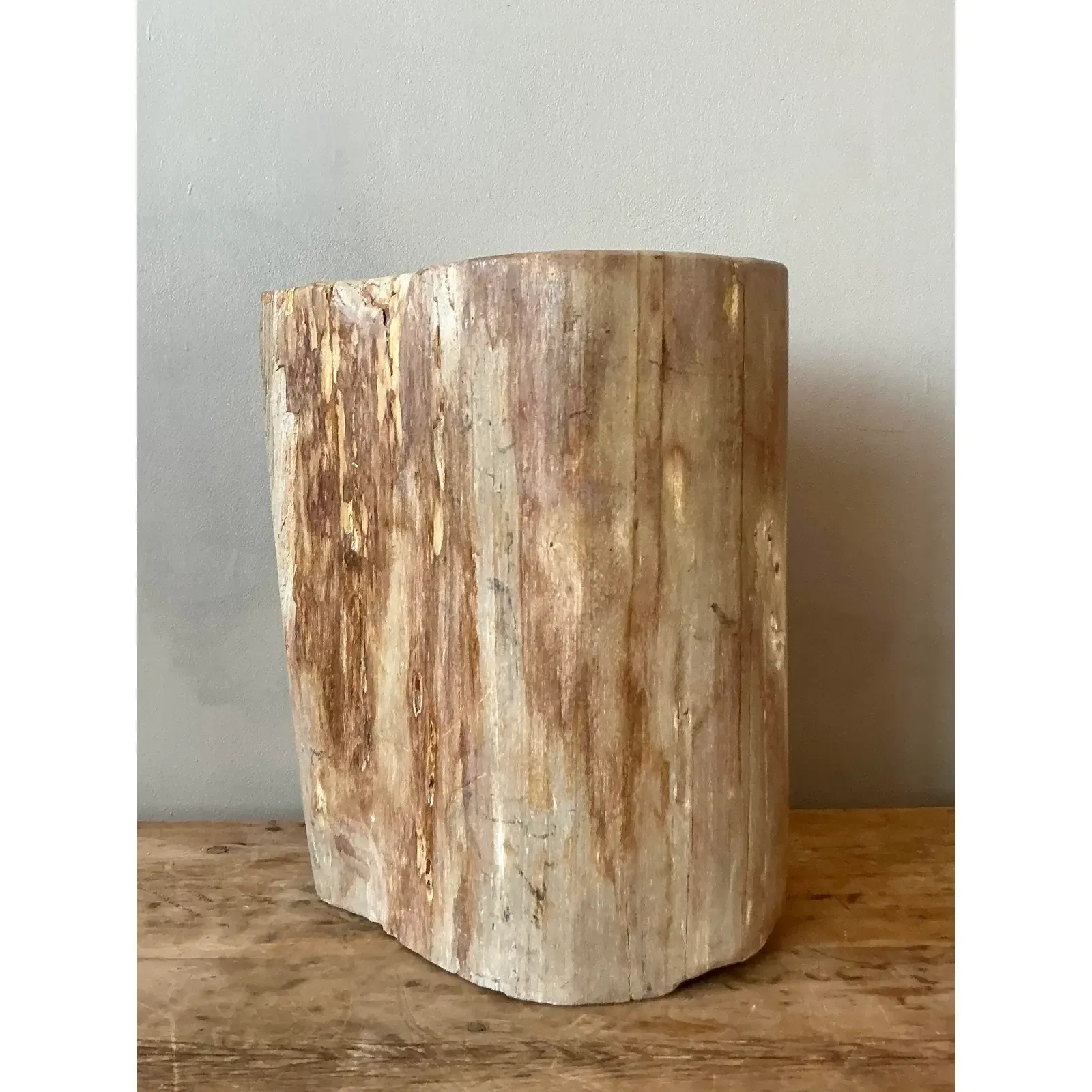 Vintage Boho Petrified Wood Stool - Detail view