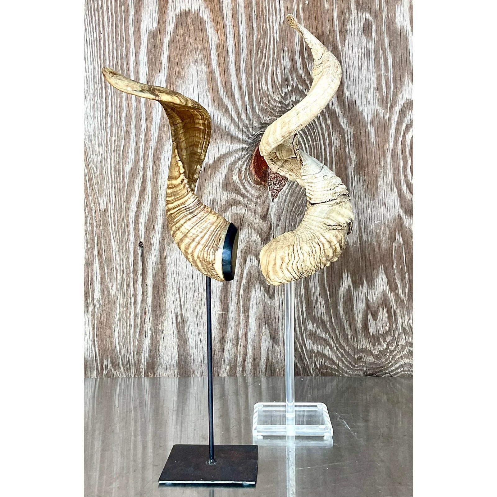 Vintage Boho Set of Single Antlers - Top view