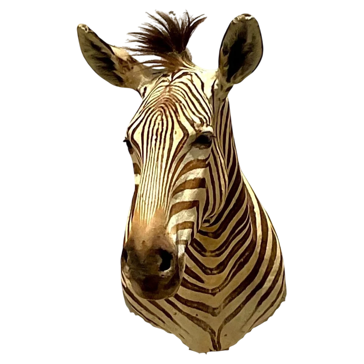 Vintage Boho Shoulder Wall Mount Zebra - Detail view