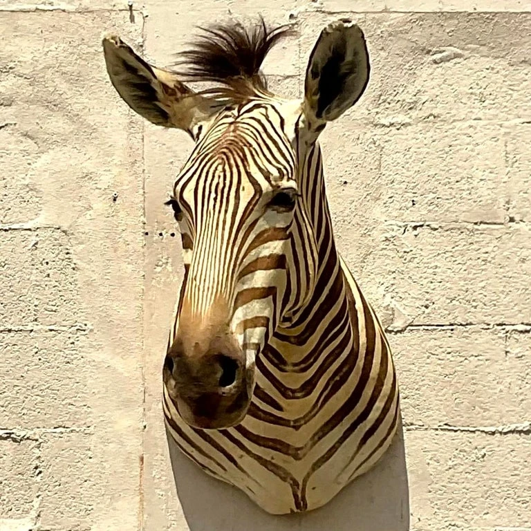 Vintage Boho Shoulder Wall Mount Zebra - Side view