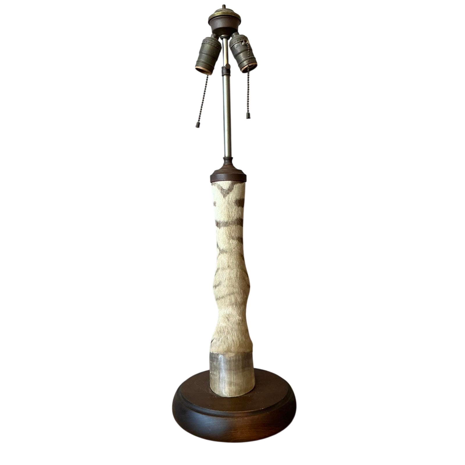 Vintage Boho Taxidermy Zebra Lamp