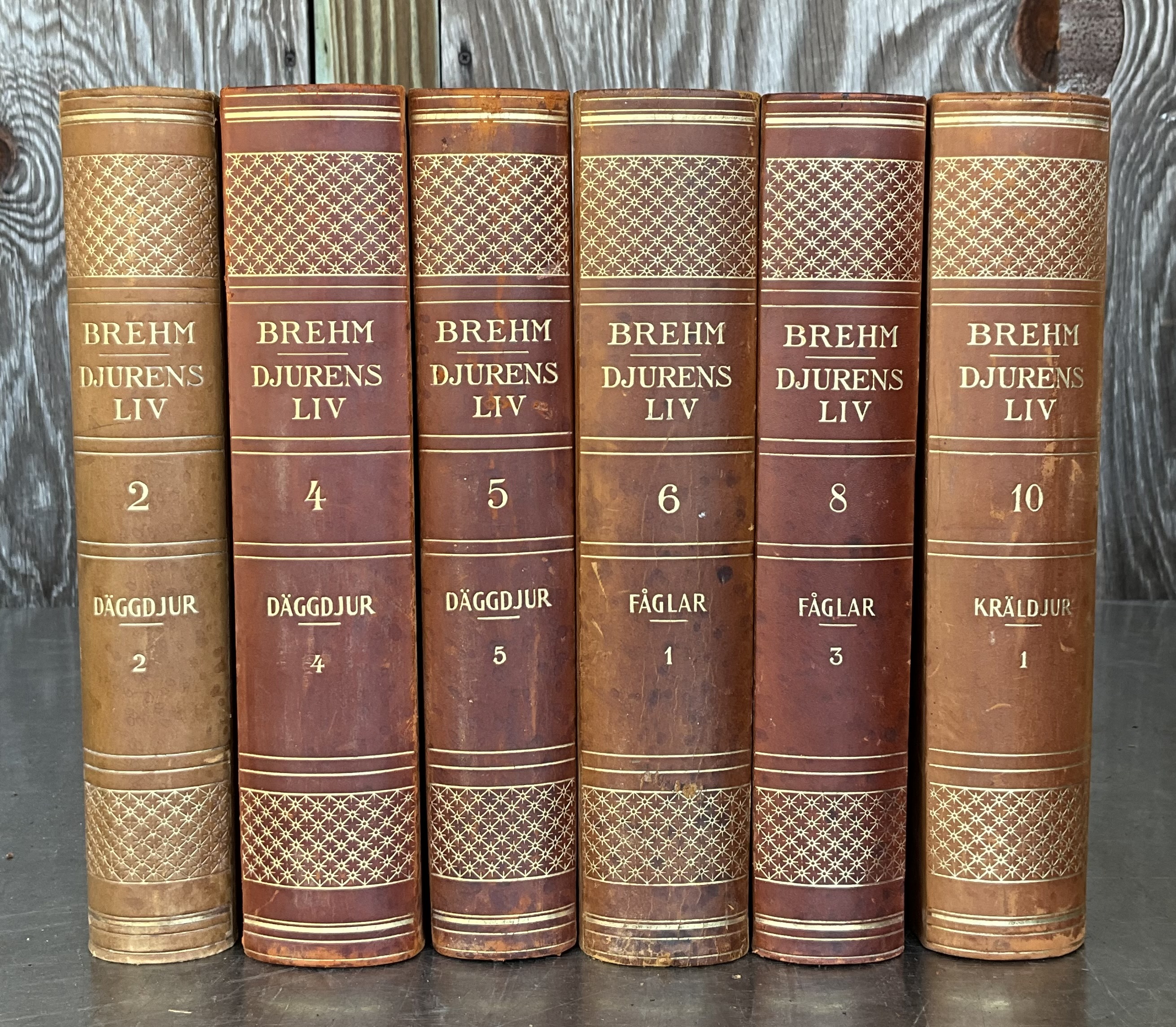Vintage Brehm Djurens Liv- Set of 6 - Side view