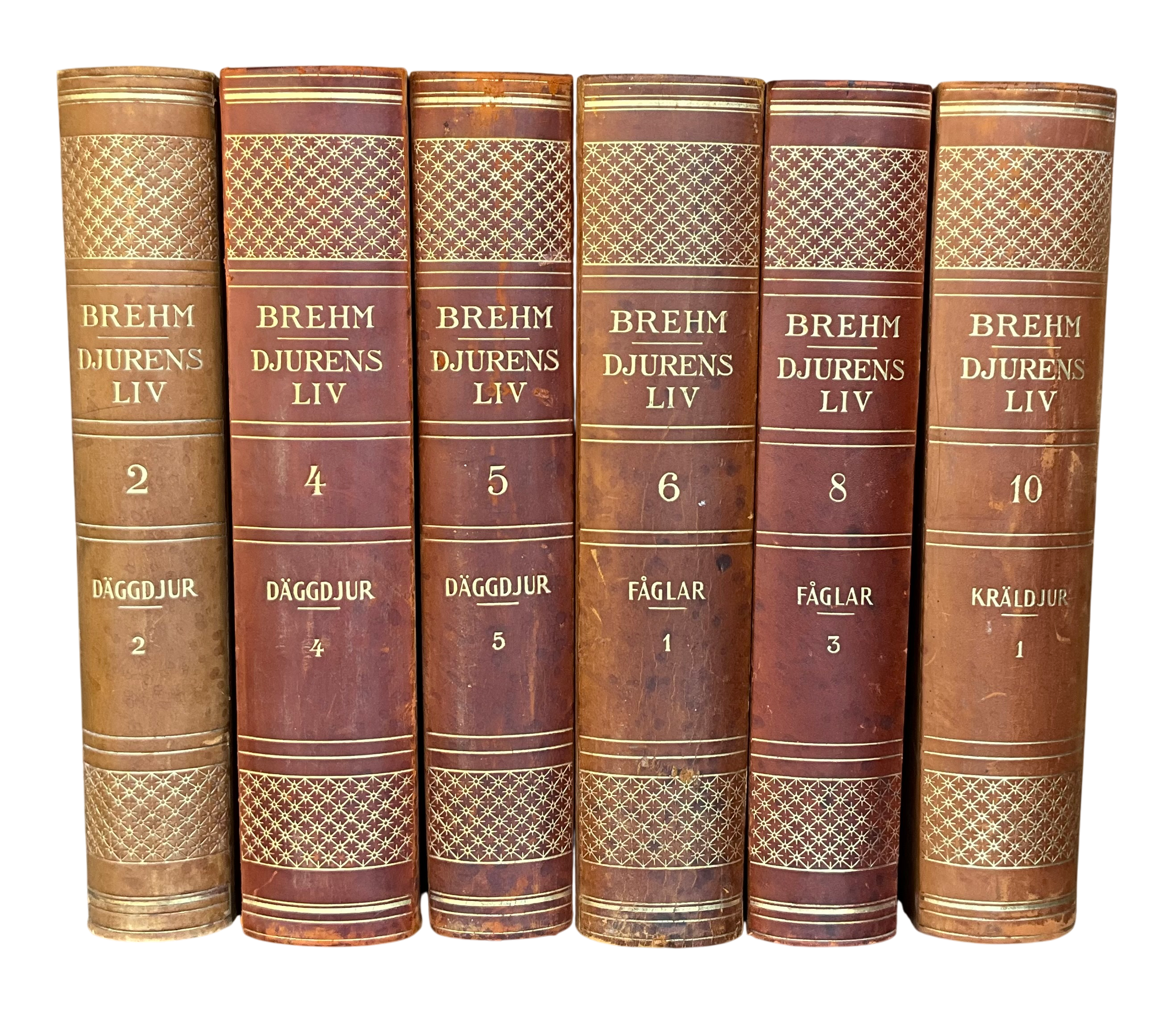 Vintage Brehm Djurens Liv- Set of 6 - Top view