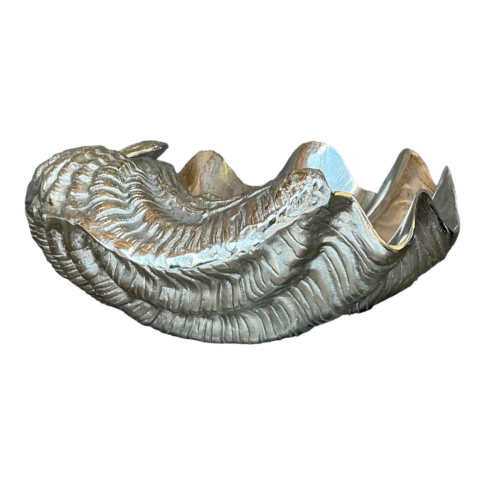 Vintage Cast Metal Giant Clam Shell - Detail view